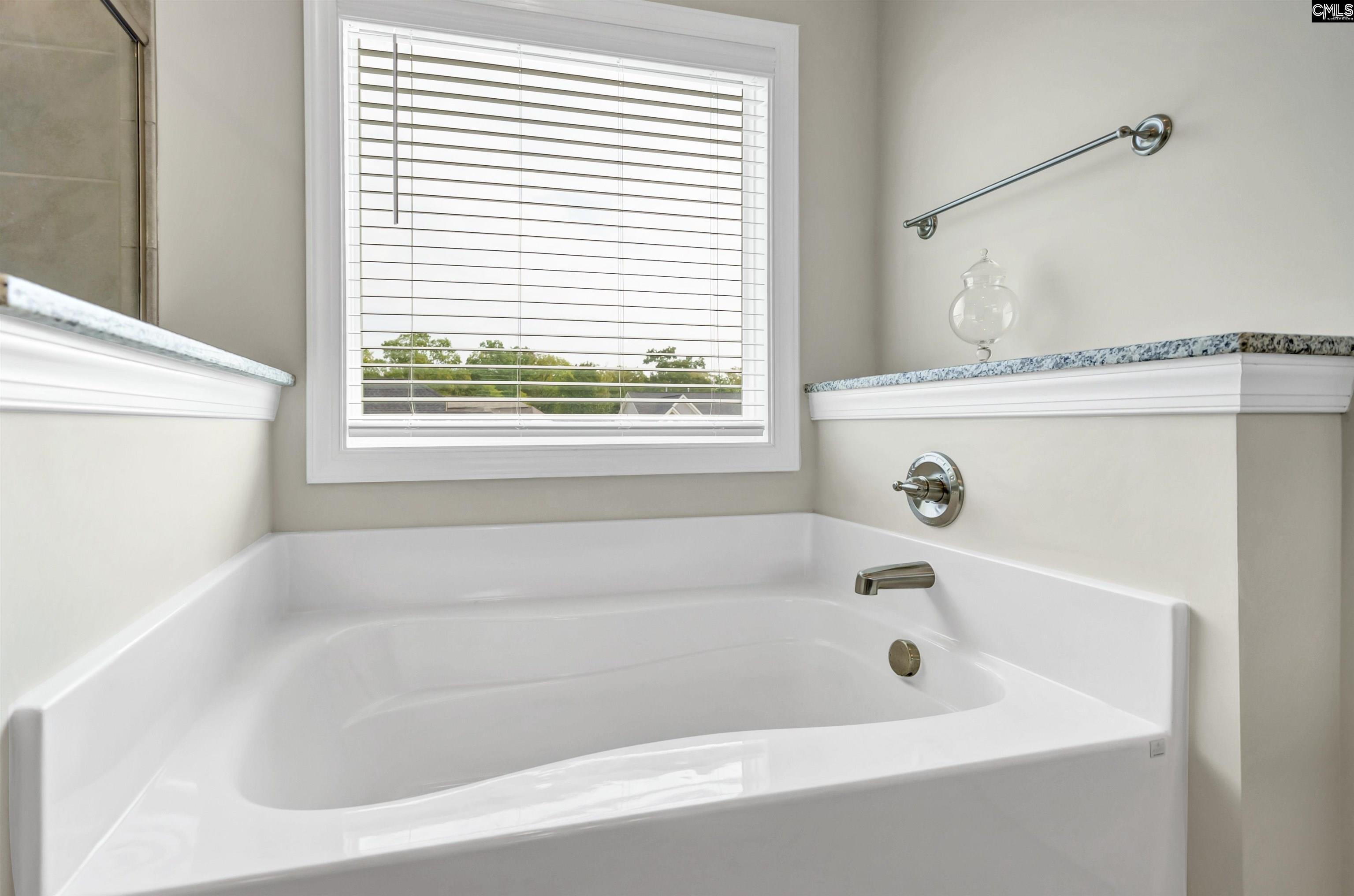 304 Springbrook Way Chapin, SC 29036