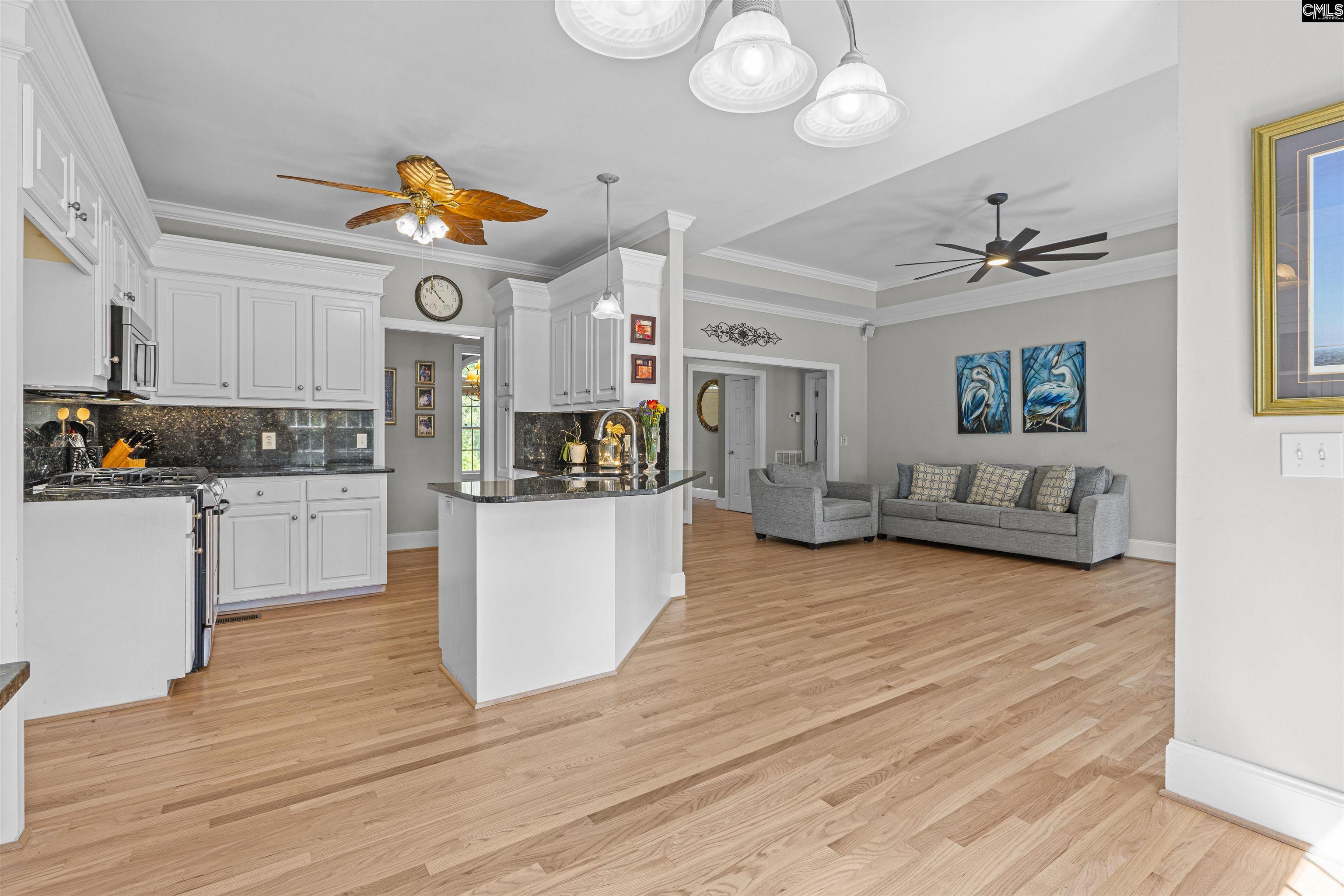 410 Highwater Court Chapin, SC 29036