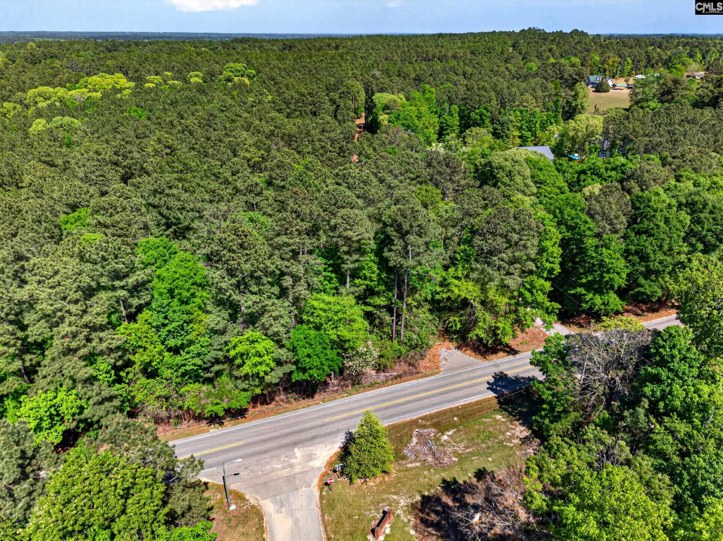219 Juniper Springs Road Gilbert, SC 29054