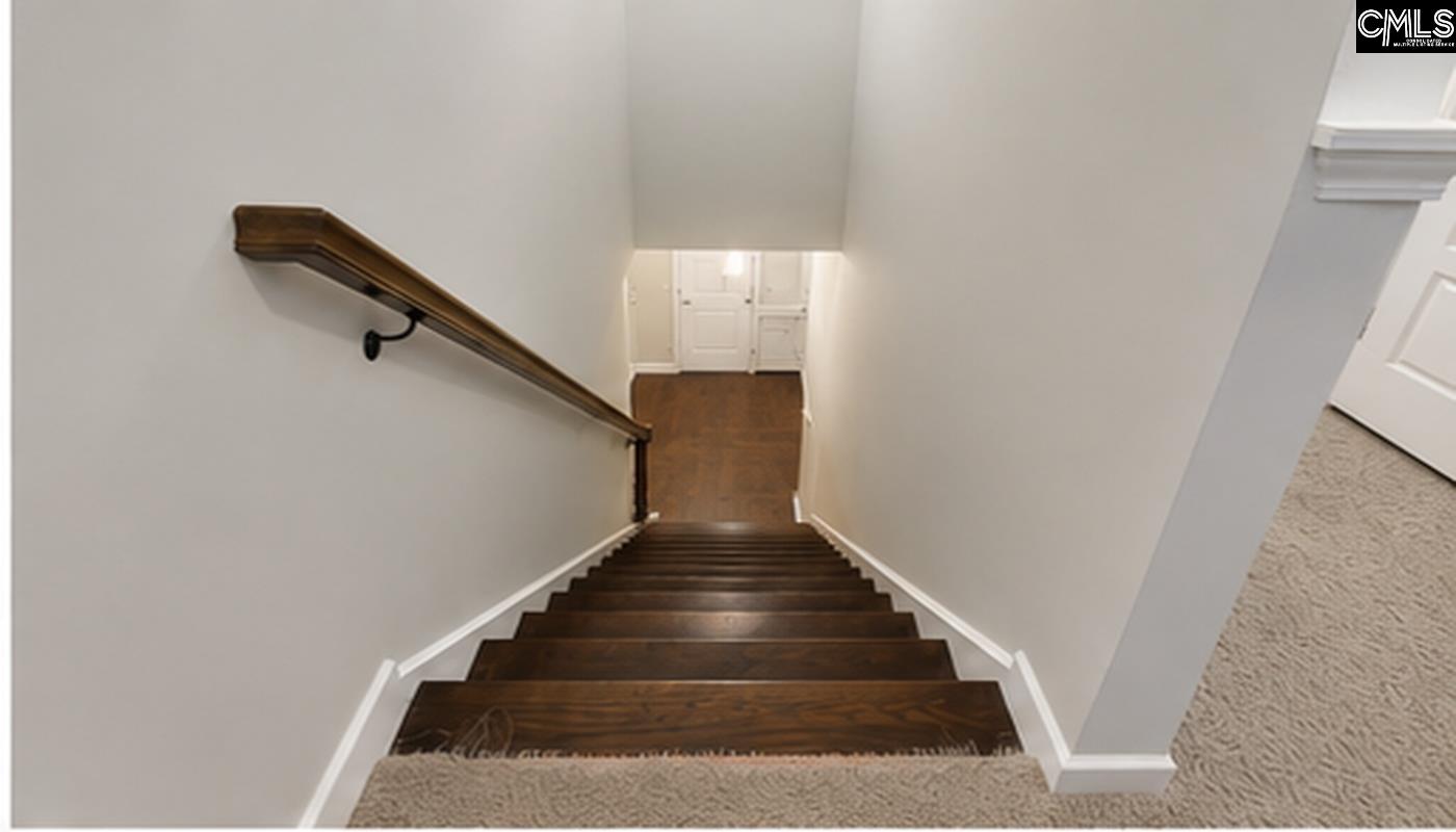 425 Maria Posada Court Chapin, SC 29036
