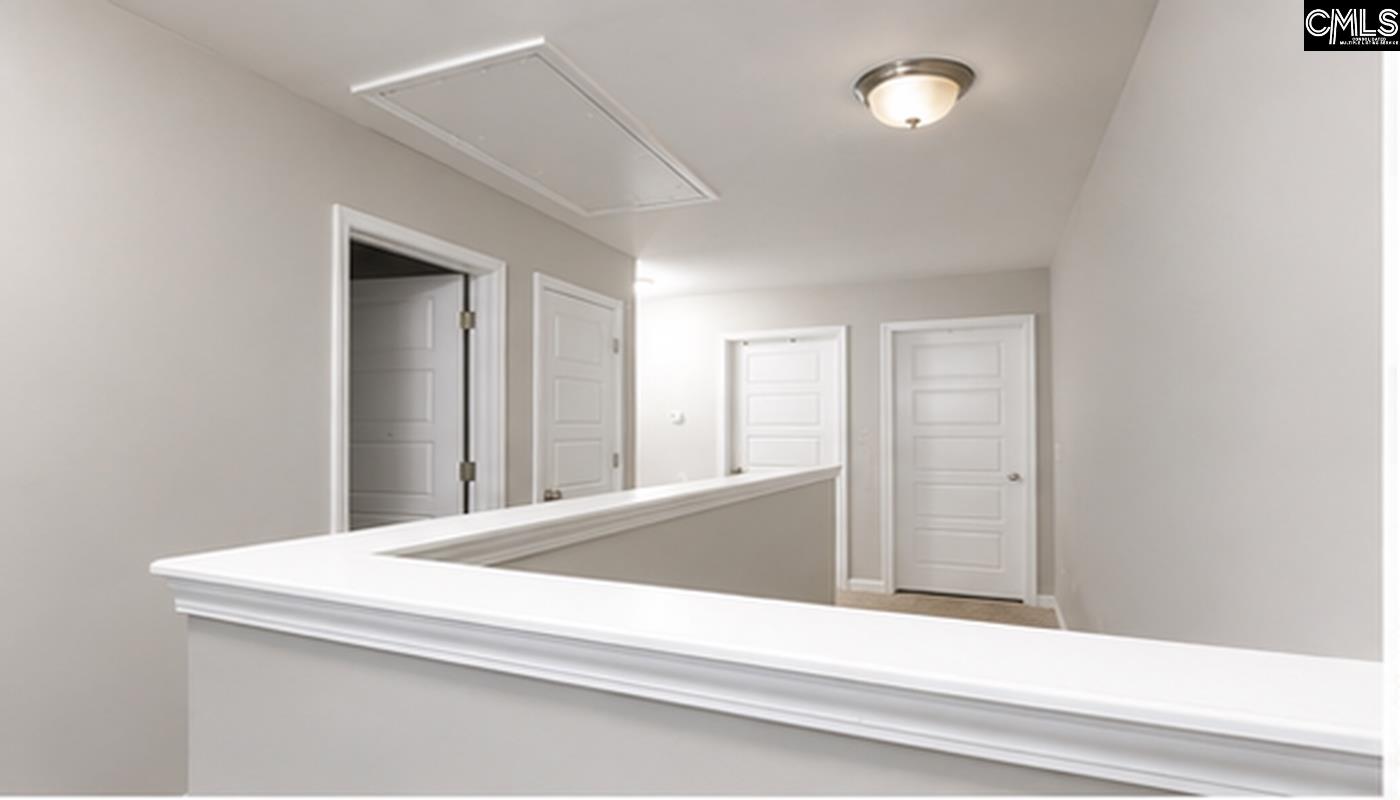 425 Maria Posada Court Chapin, SC 29036