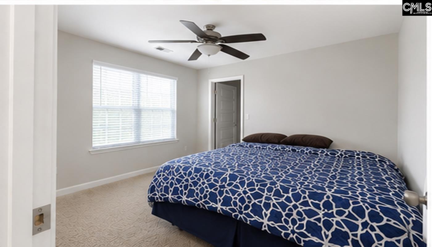 425 Maria Posada Court Chapin, SC 29036