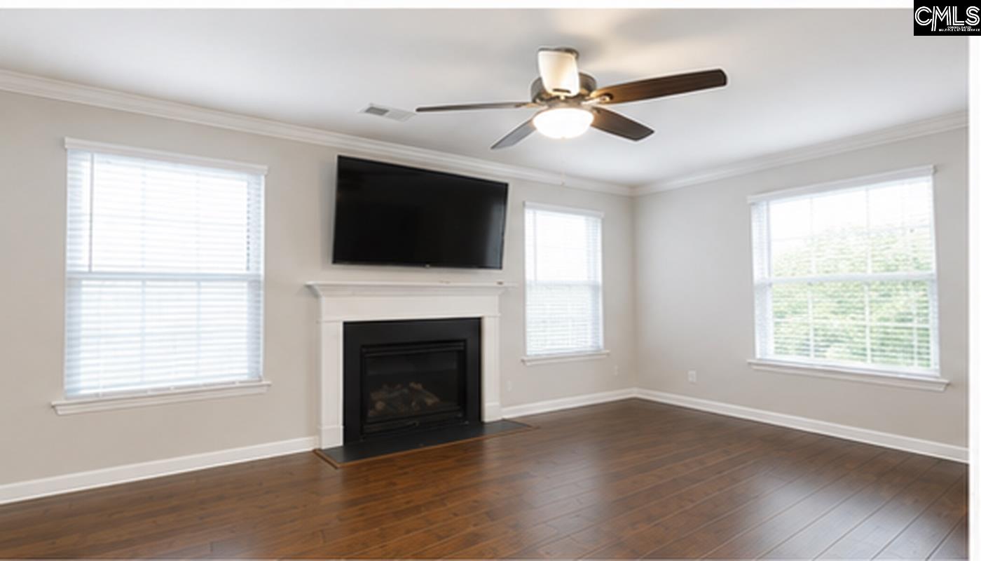 425 Maria Posada Court Chapin, SC 29036