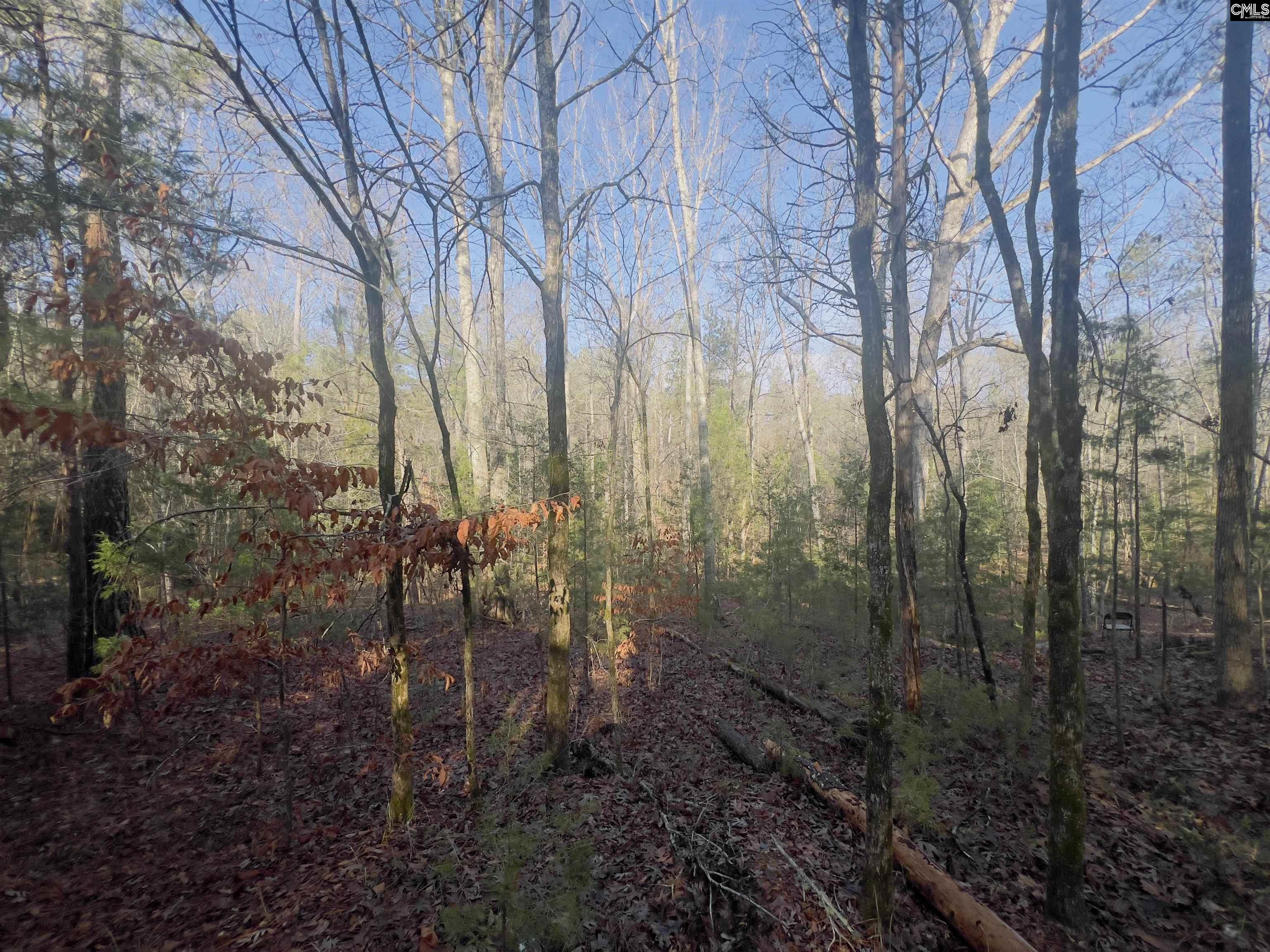 521 Mount Valley Road Blythewood, SC 29016