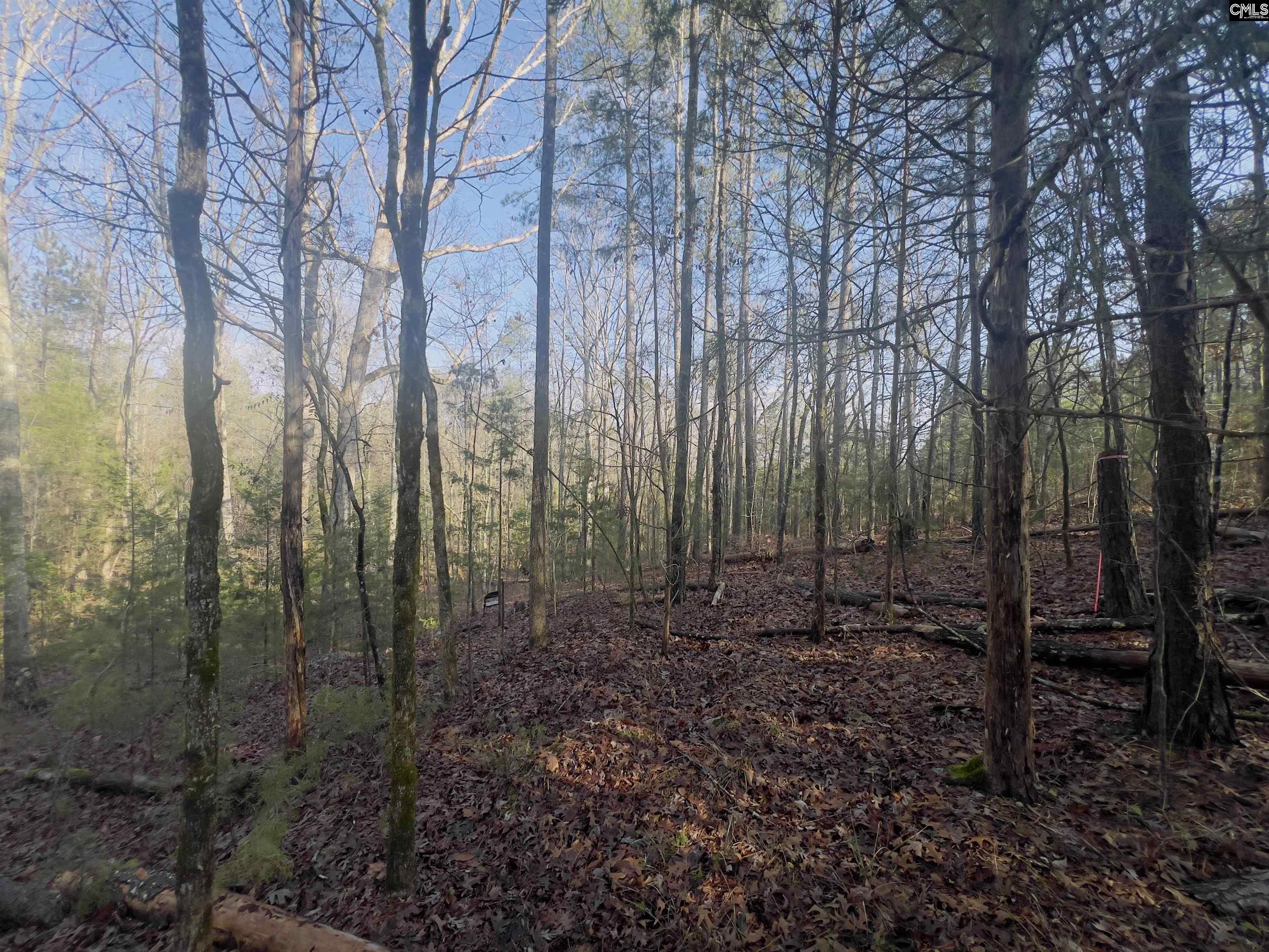 521 Mount Valley Road Blythewood, SC 29016