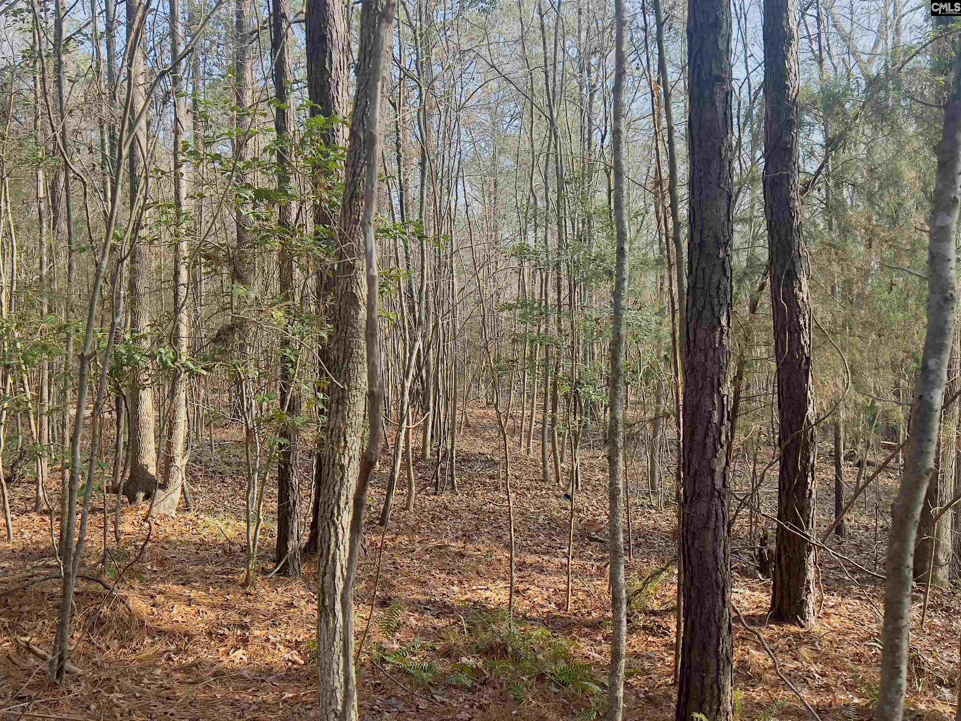 521 Mount Valley Road Blythewood, SC 29016