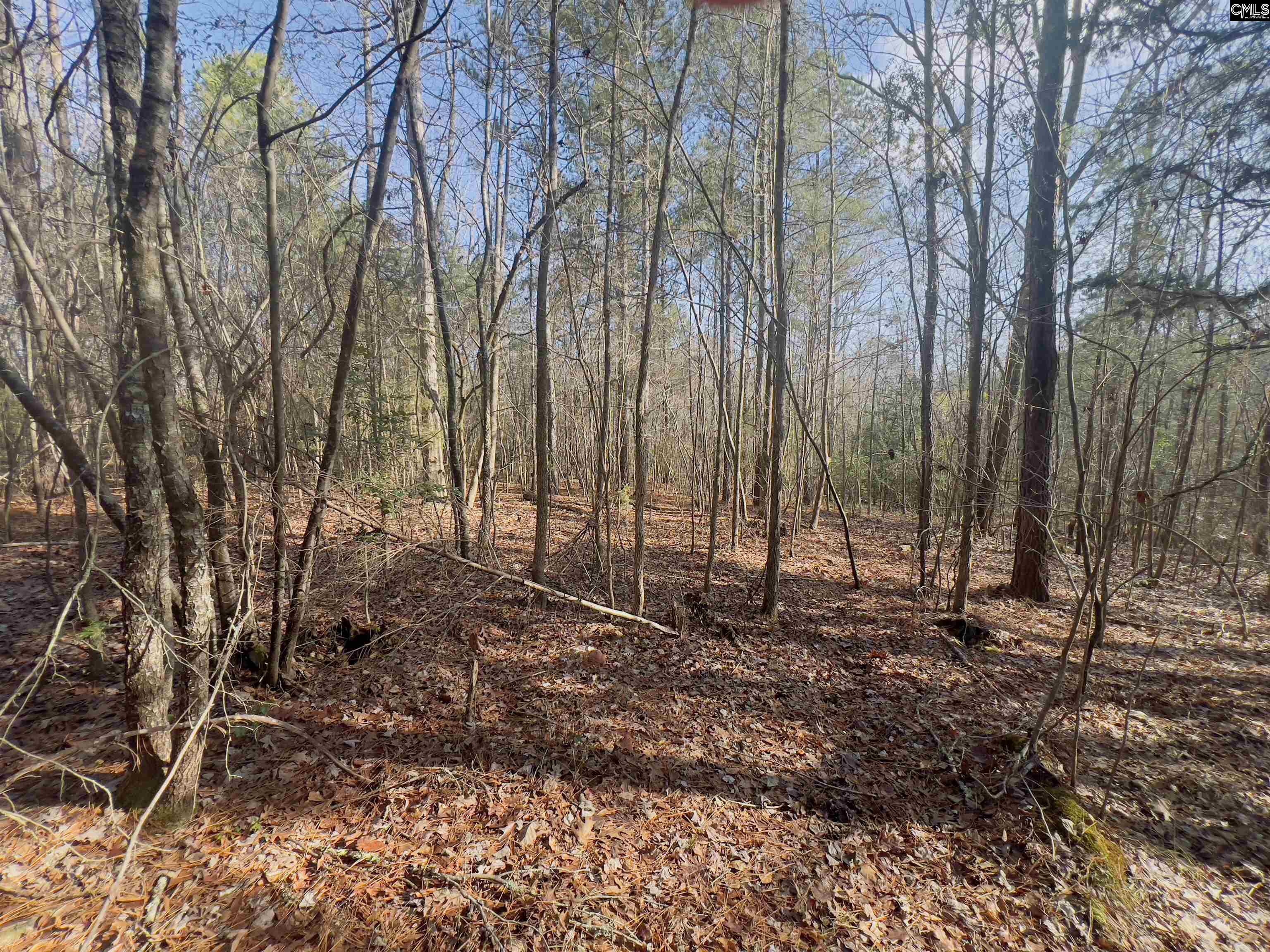 521 Mount Valley Road Blythewood, SC 29016