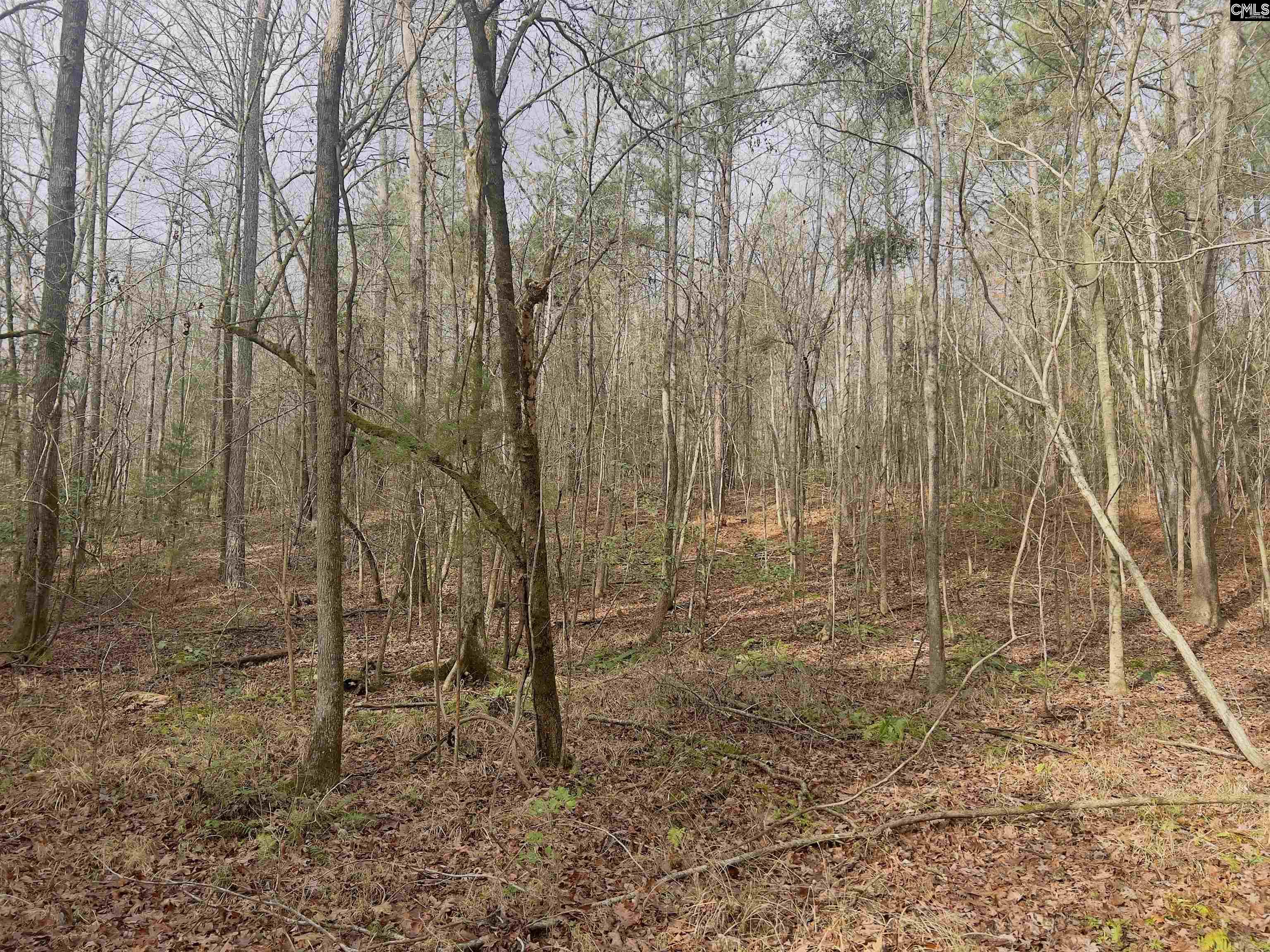 521 Mount Valley Road Blythewood, SC 29016
