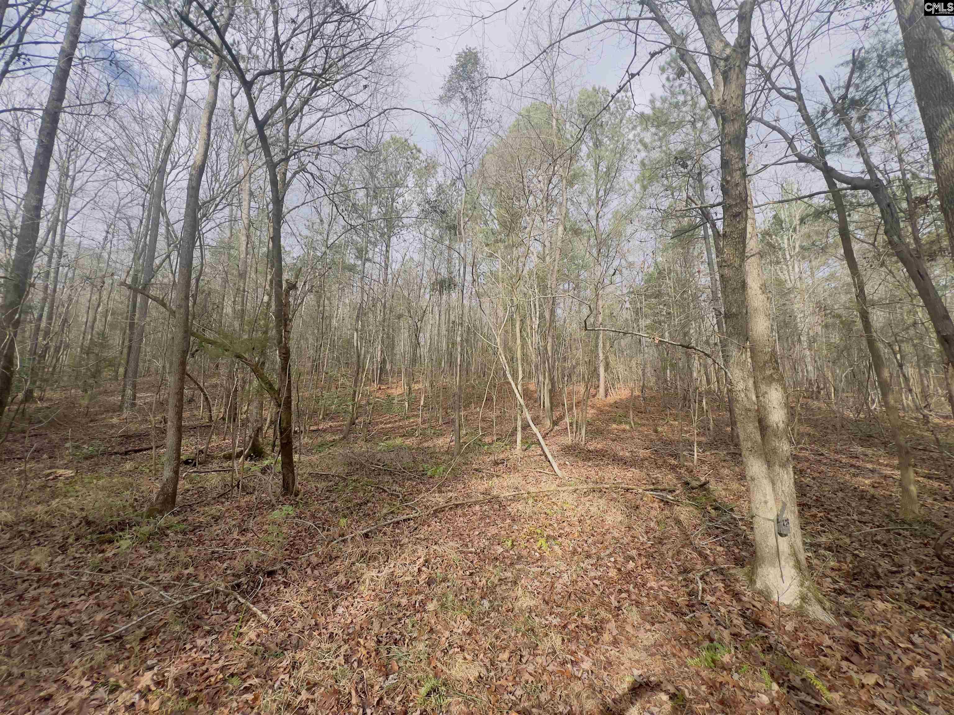 521 Mount Valley Road Blythewood, SC 29016