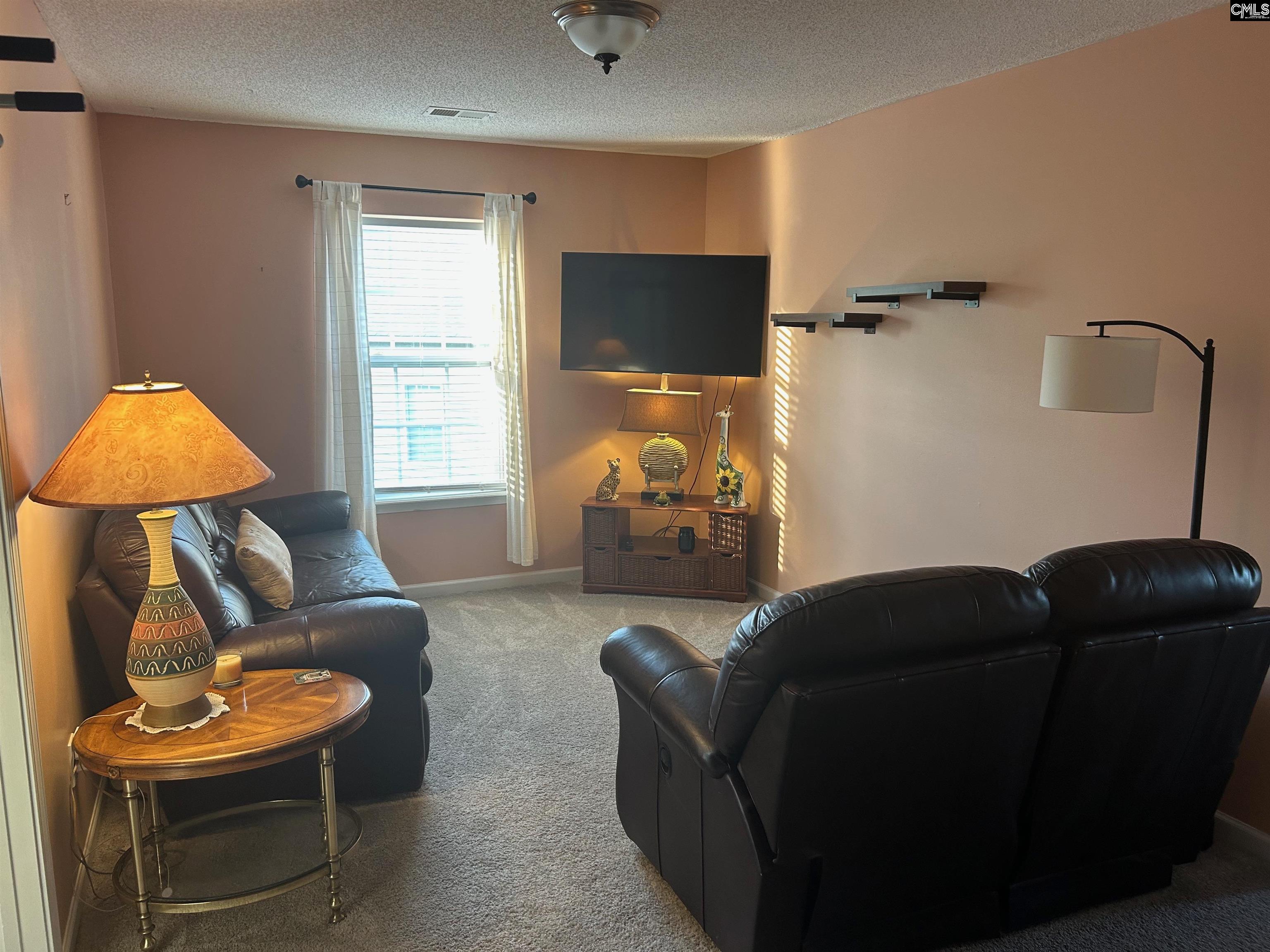 335 Indigo Springs Drive Columbia, SC 29229