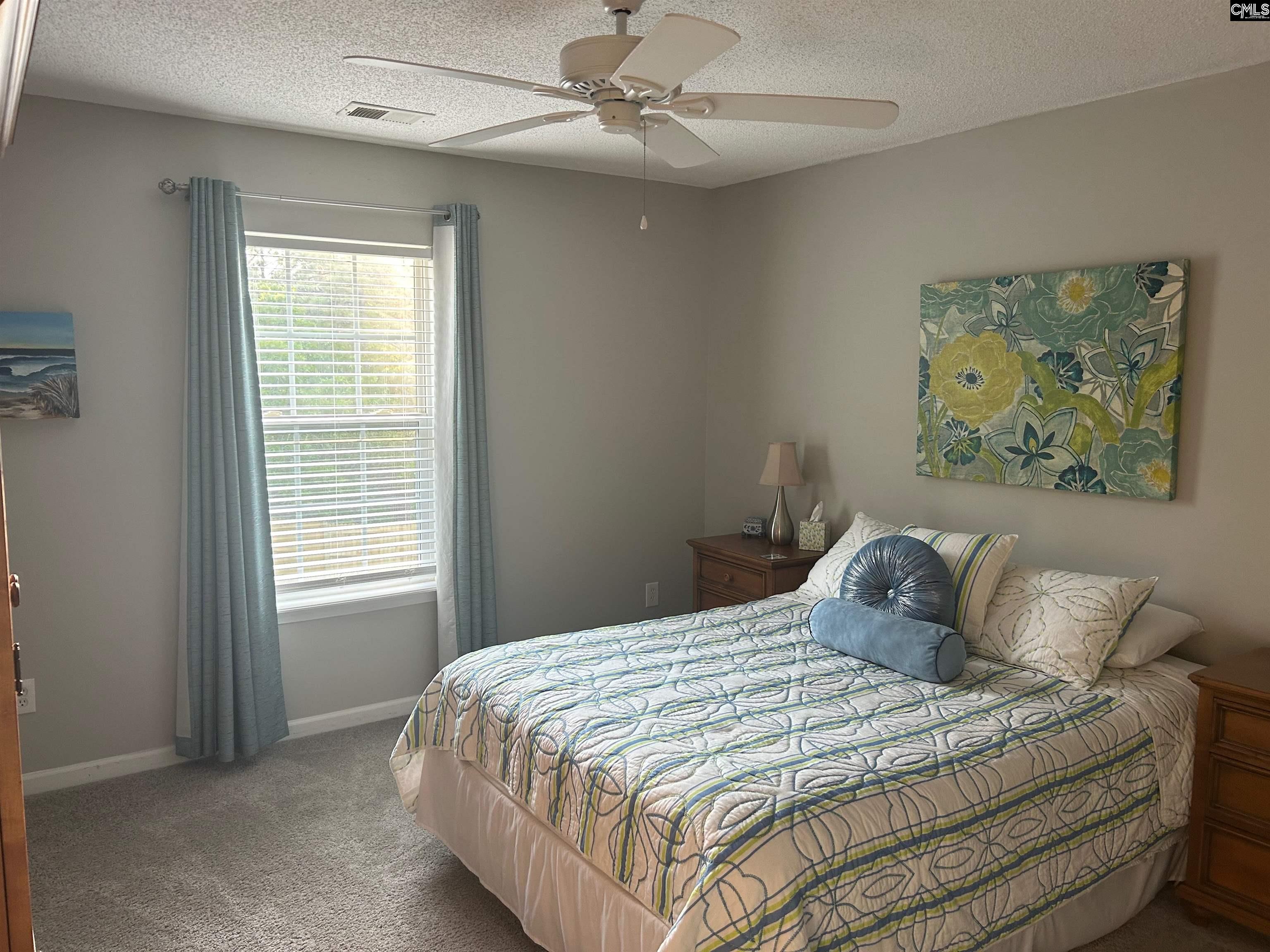 335 Indigo Springs Drive Columbia, SC 29229