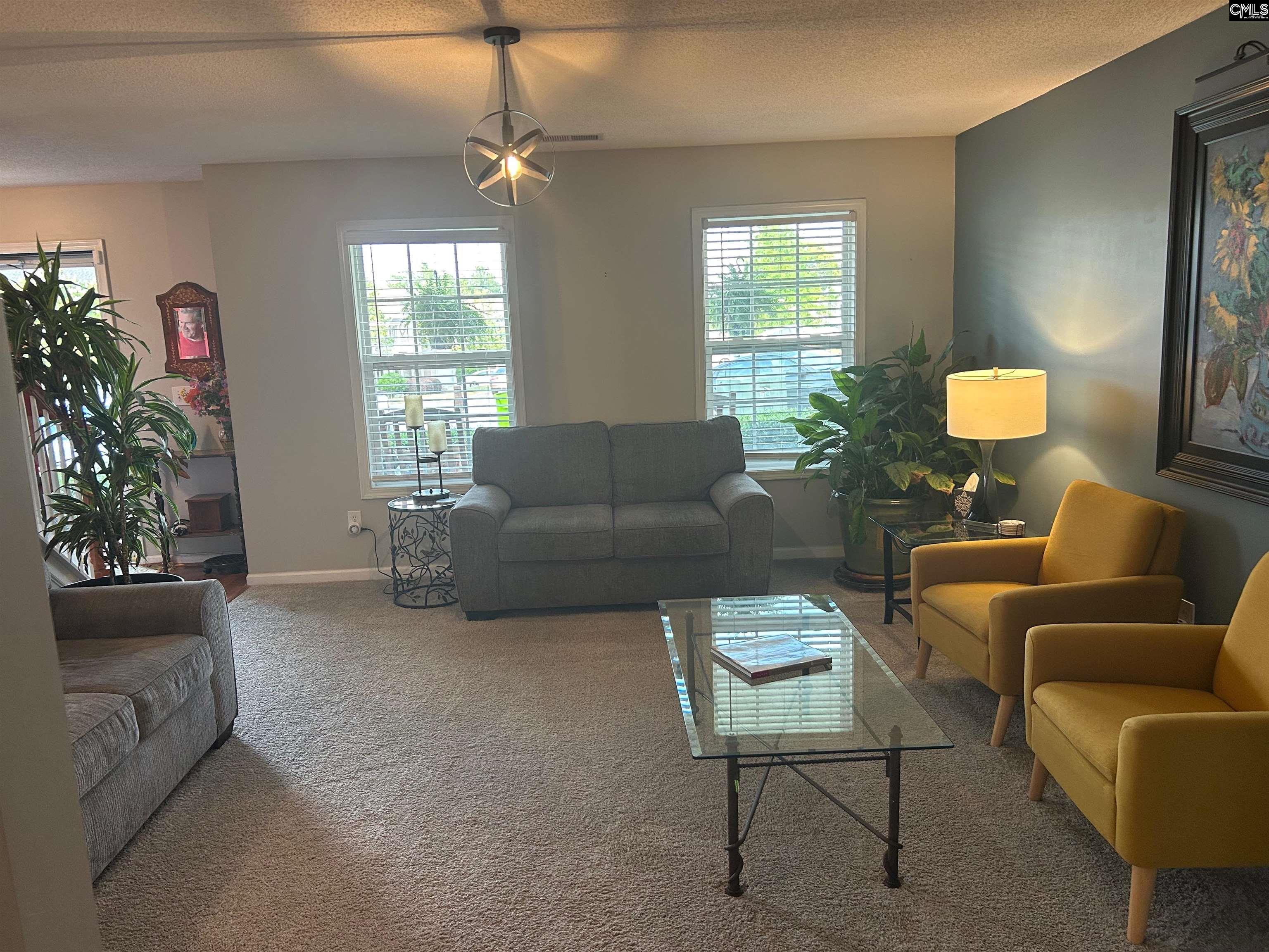 335 Indigo Springs Drive Columbia, SC 29229