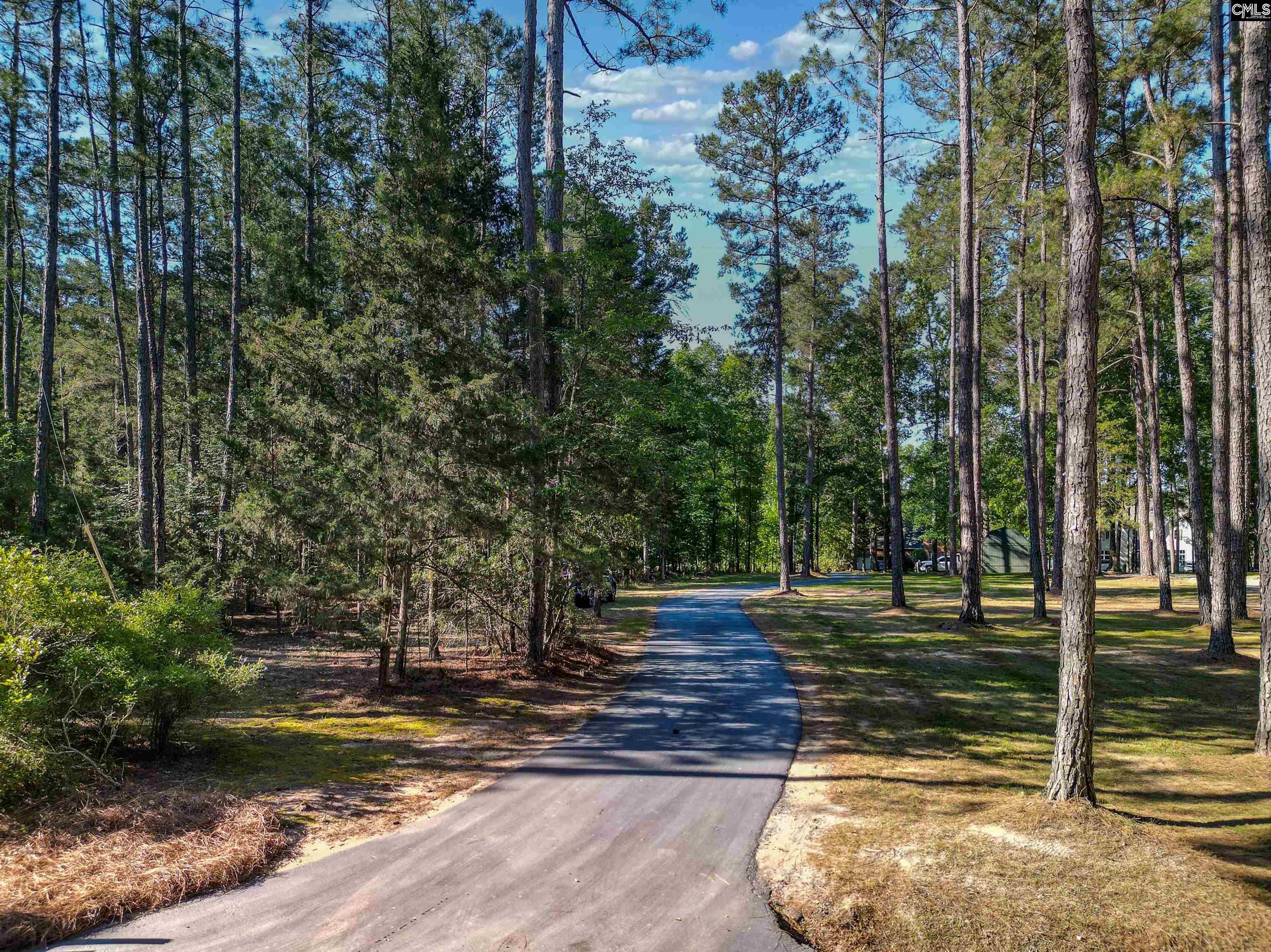135 Willowood Cove Chapin, SC 29036