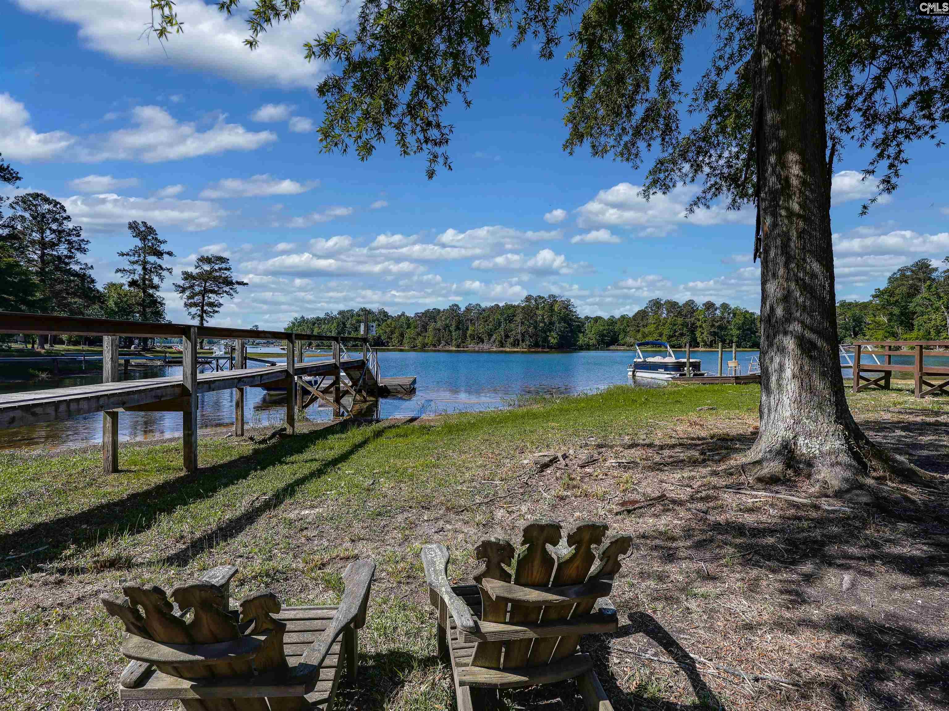 135 Willowood Cove Chapin, SC 29036