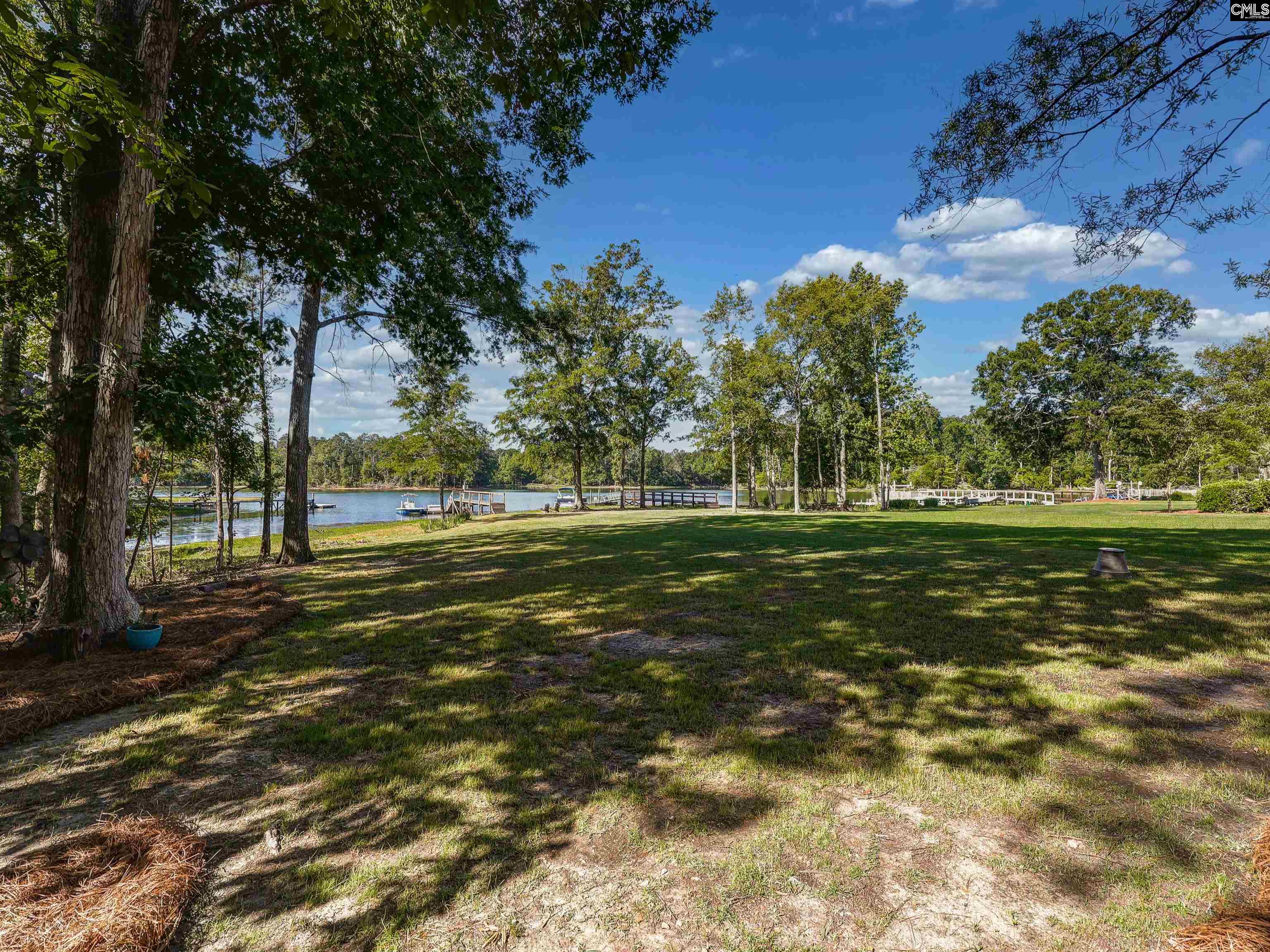 135 Willowood Cove Chapin, SC 29036