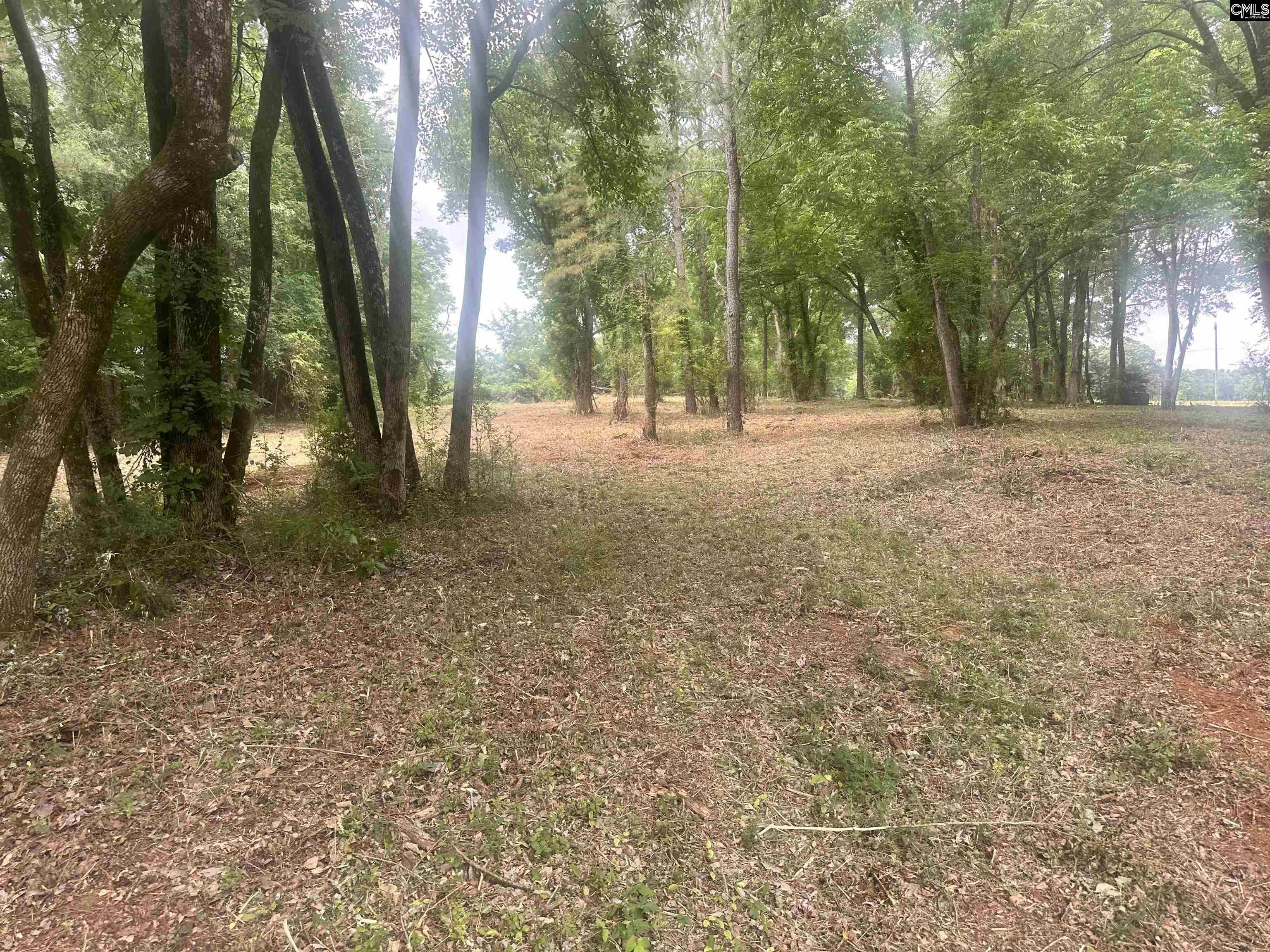 Hwy 202 Highway Little Mountain, SC 29075