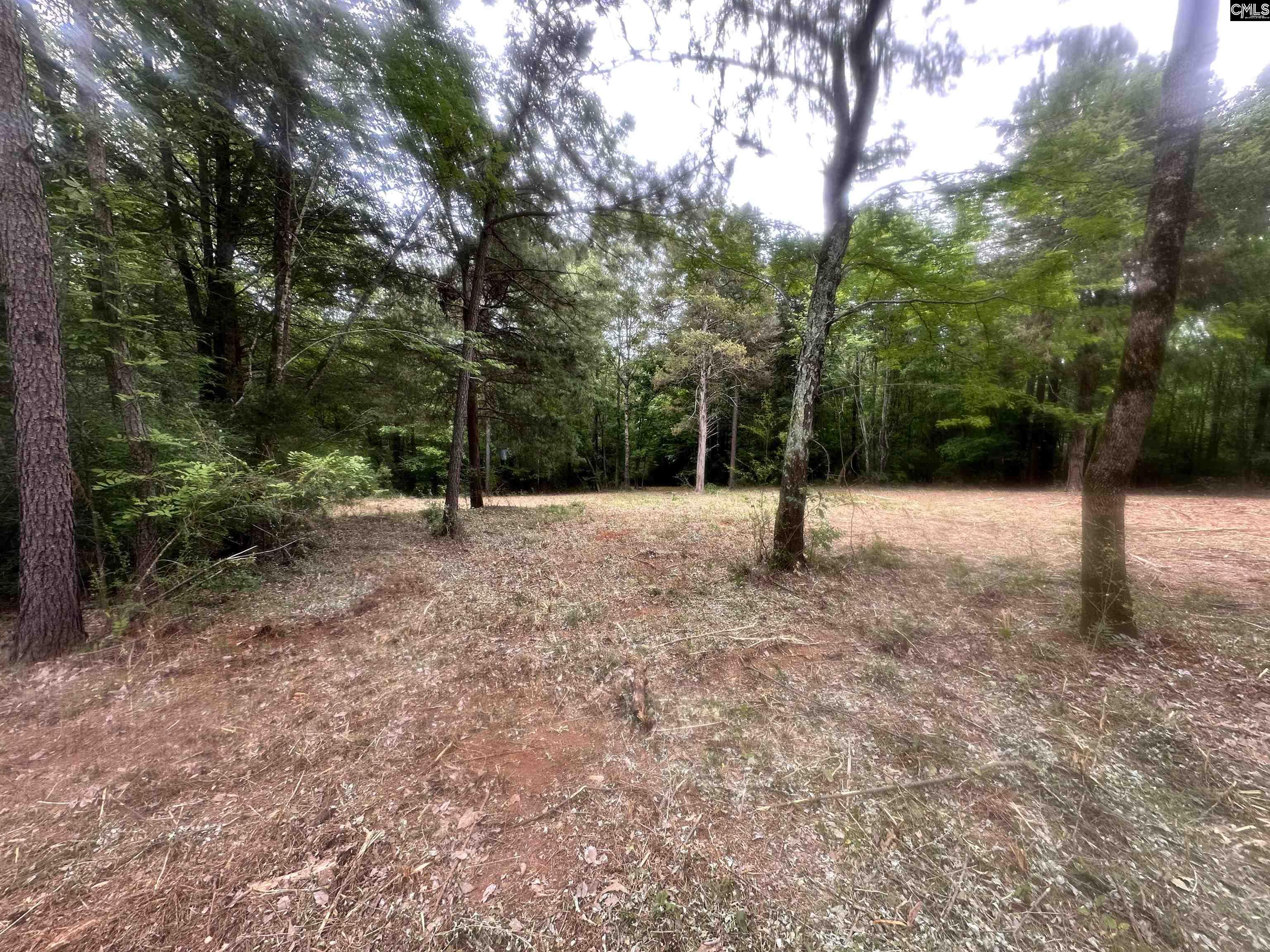 Hwy 202 Highway Little Mountain, SC 29075