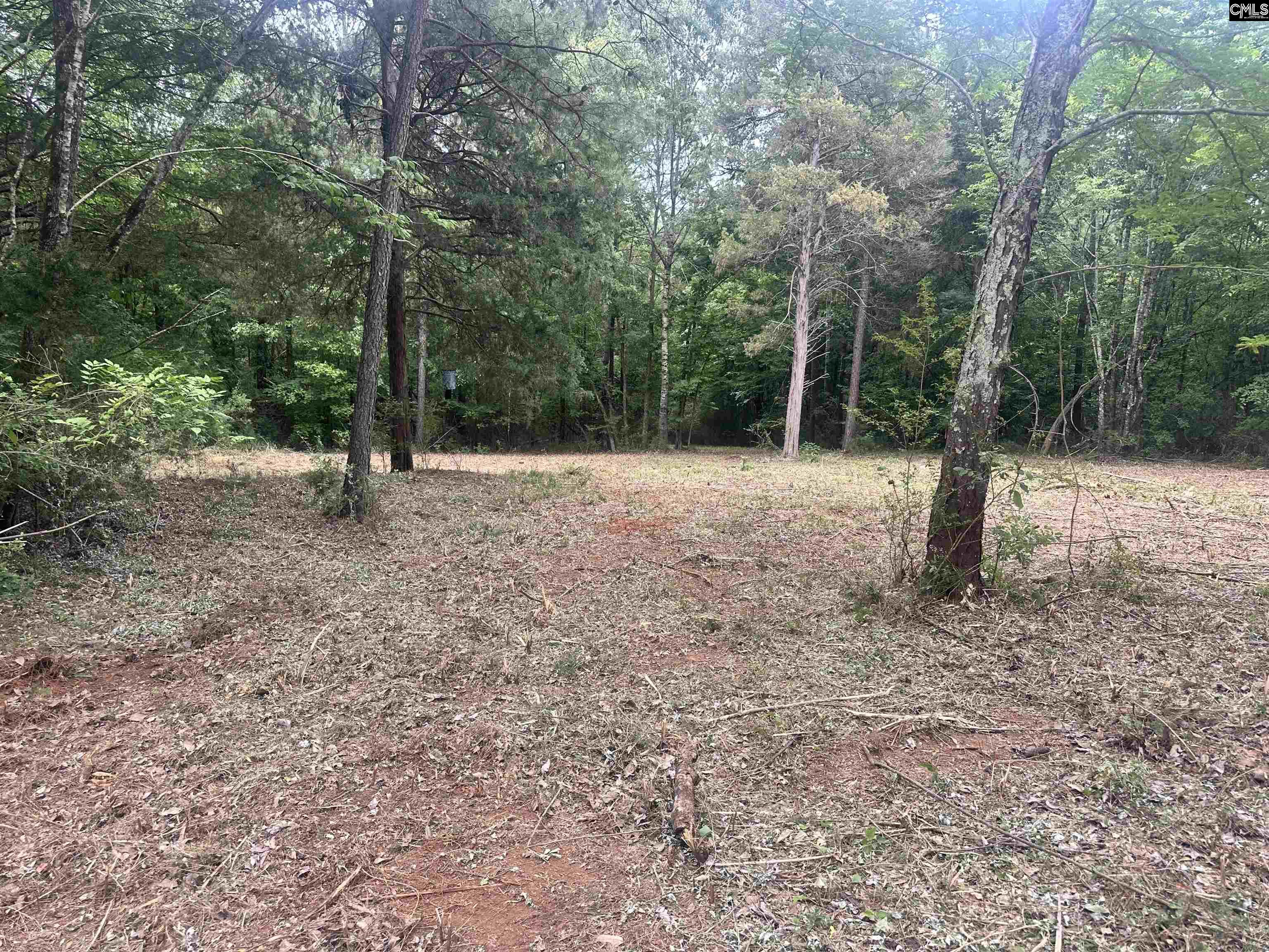 Hwy 202 Highway Little Mountain, SC 29075