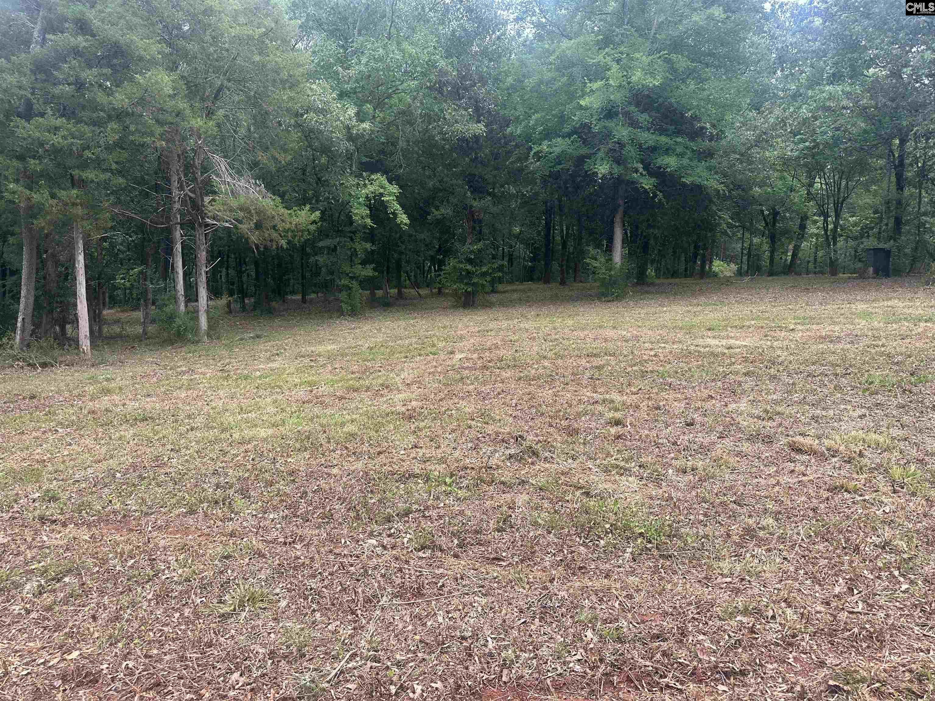 Hwy 202 Highway Little Mountain, SC 29075