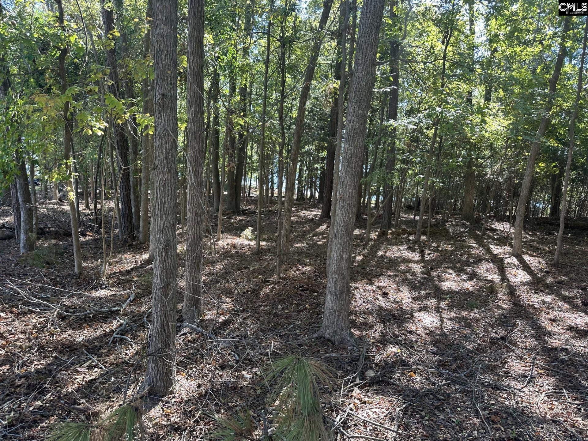 000 Circle H. Wood Road Prosperity, SC 29127