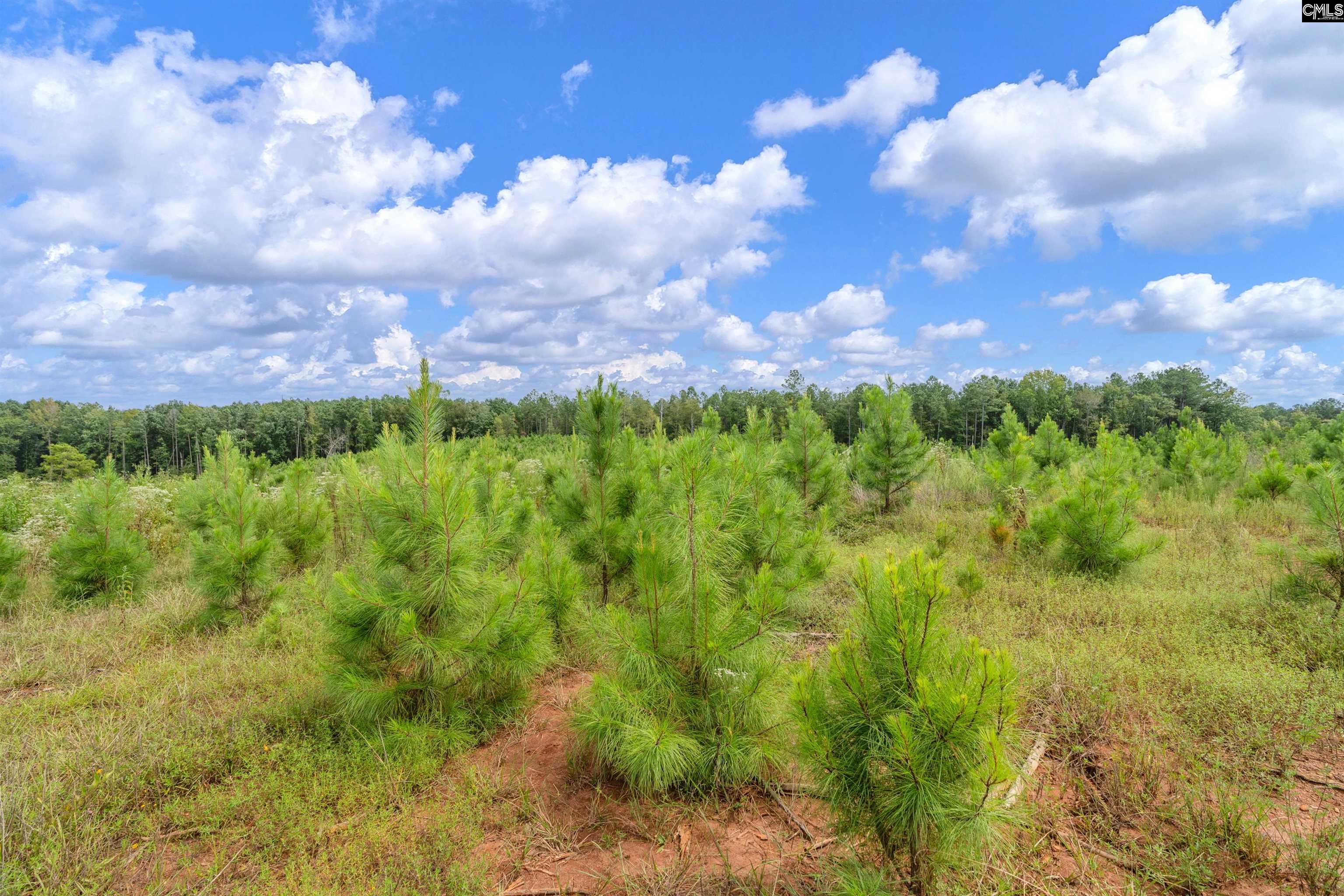 0000 Hwy 215 UNIT #2 Jenkinsville, SC 29065