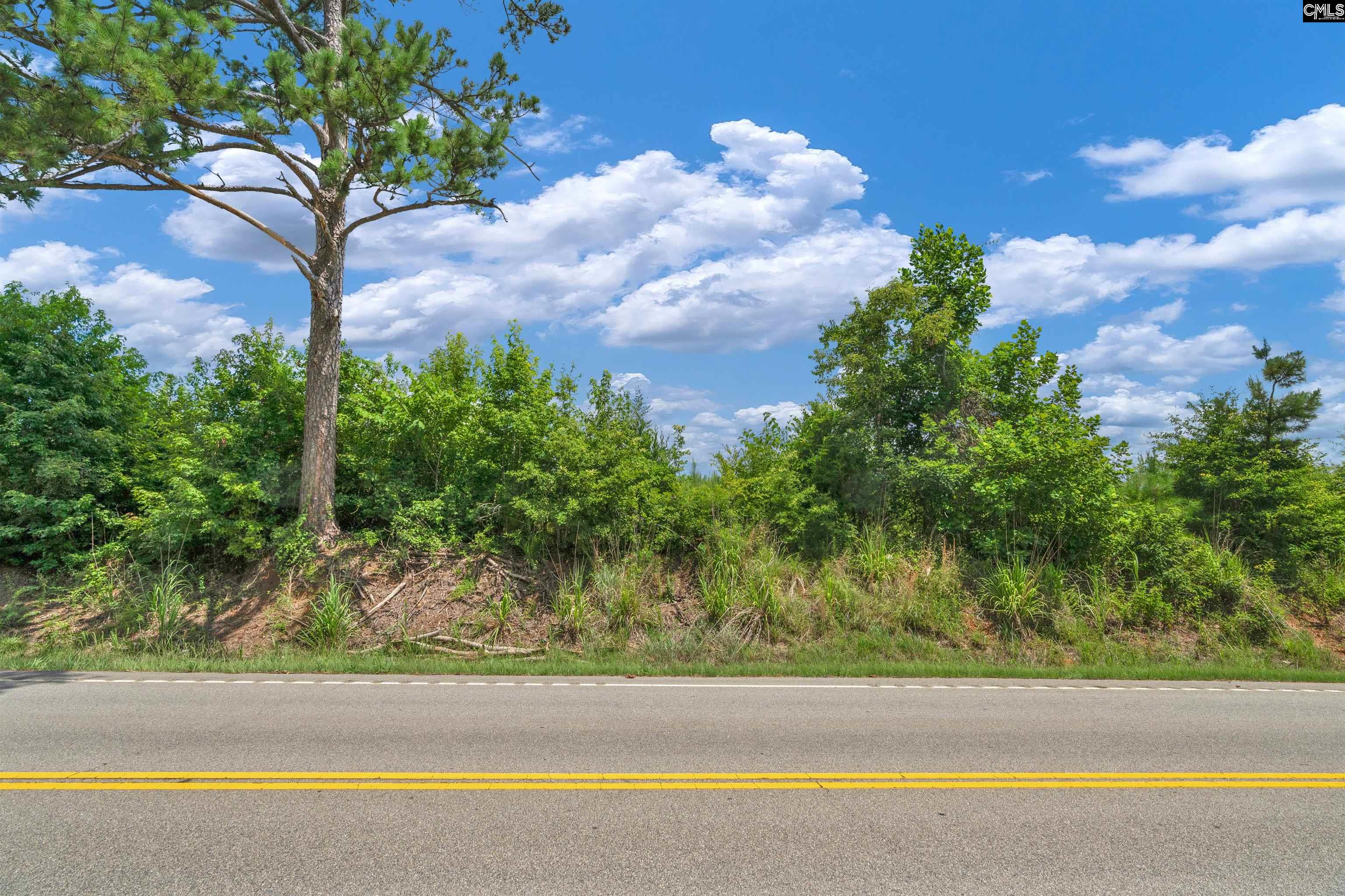 0000 Hwy 215 UNIT #2 Jenkinsville, SC 29065