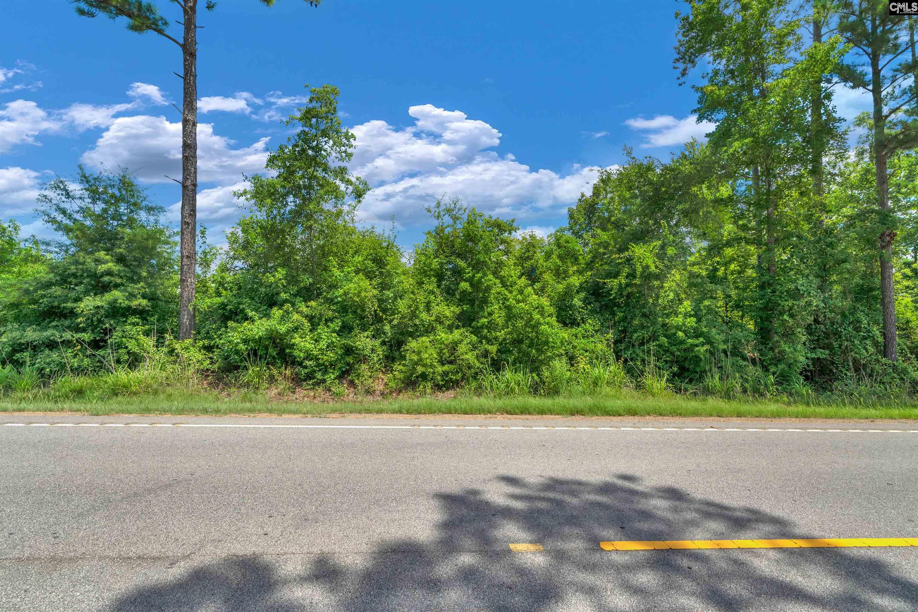 0000 Hwy 215 UNIT #2 Jenkinsville, SC 29065