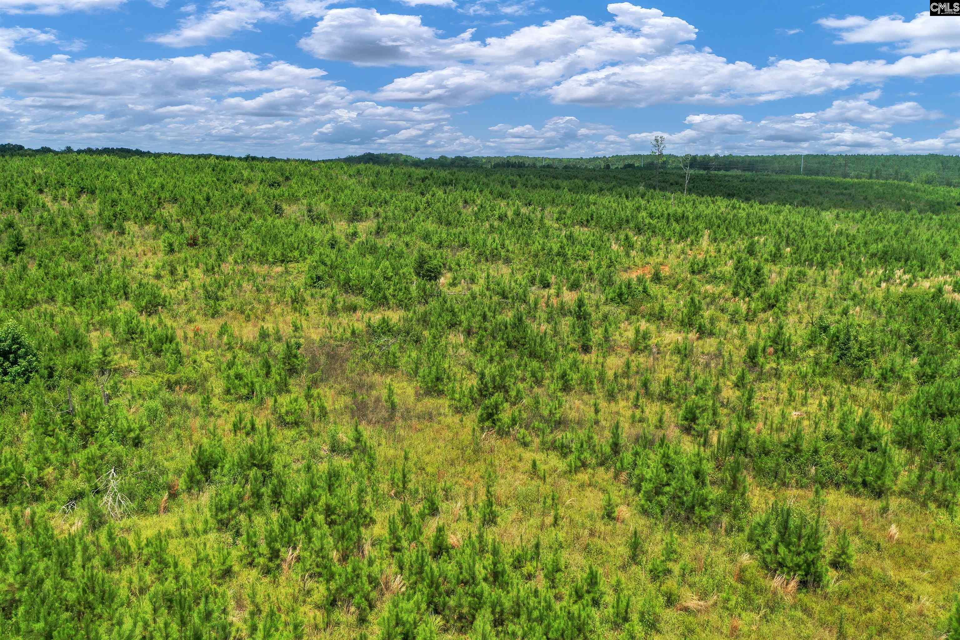 0000 Hwy 215 UNIT #2 Jenkinsville, SC 29065