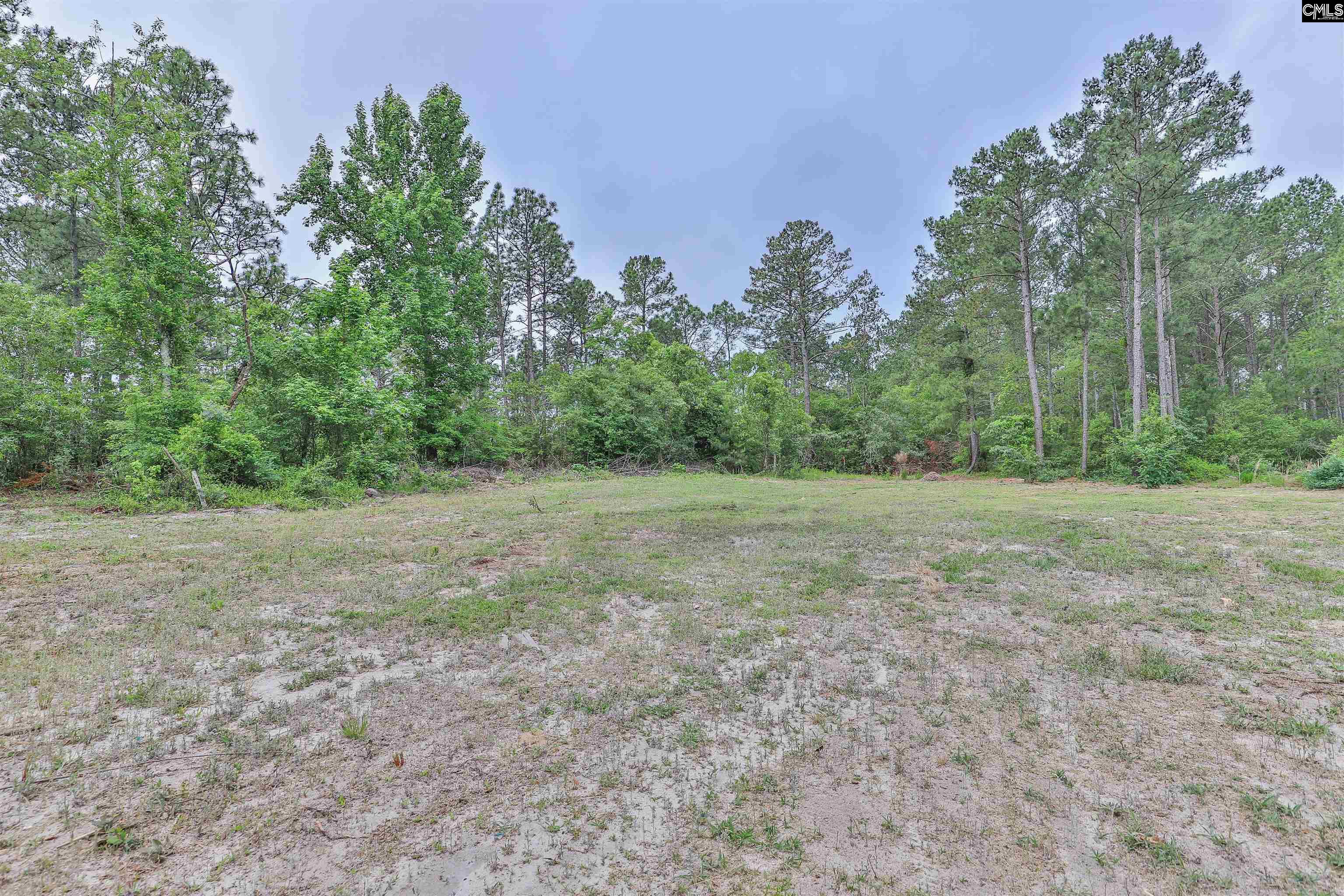 3209 Old Charleston Road Gilbert, SC 29054