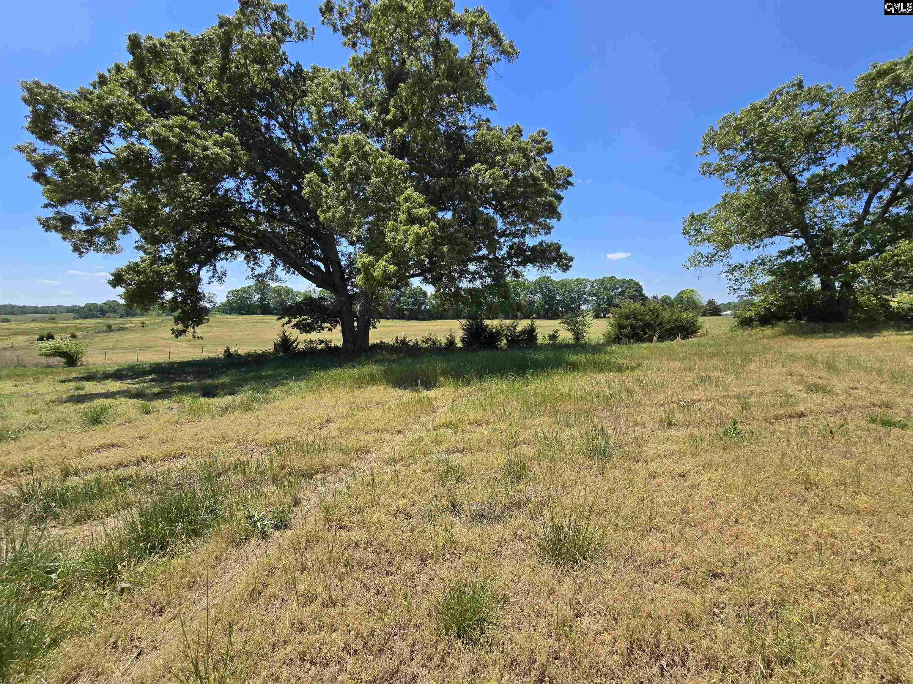542 Pea Ridge Highway Jonesville, SC 29353