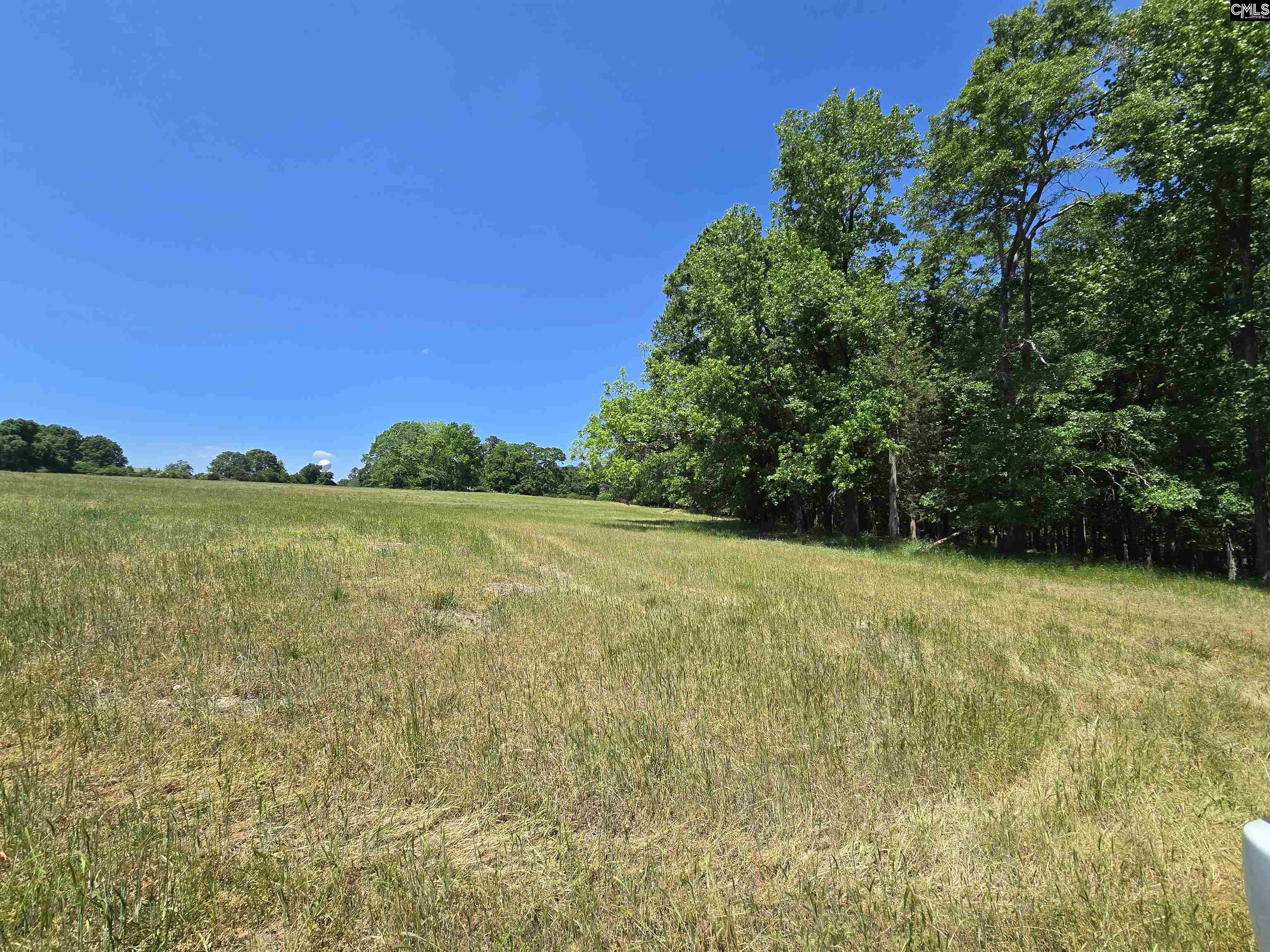 542 Pea Ridge Highway Jonesville, SC 29353
