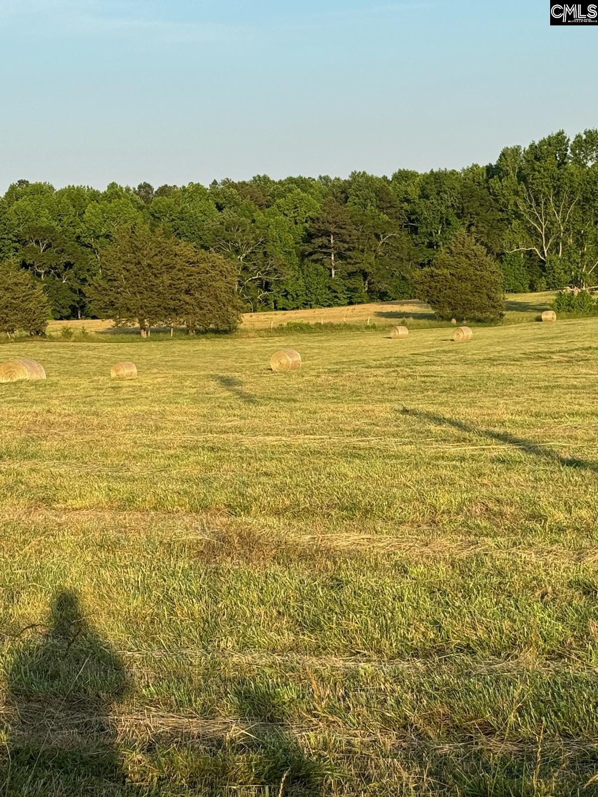 542 Pea Ridge Highway Jonesville, SC 29353