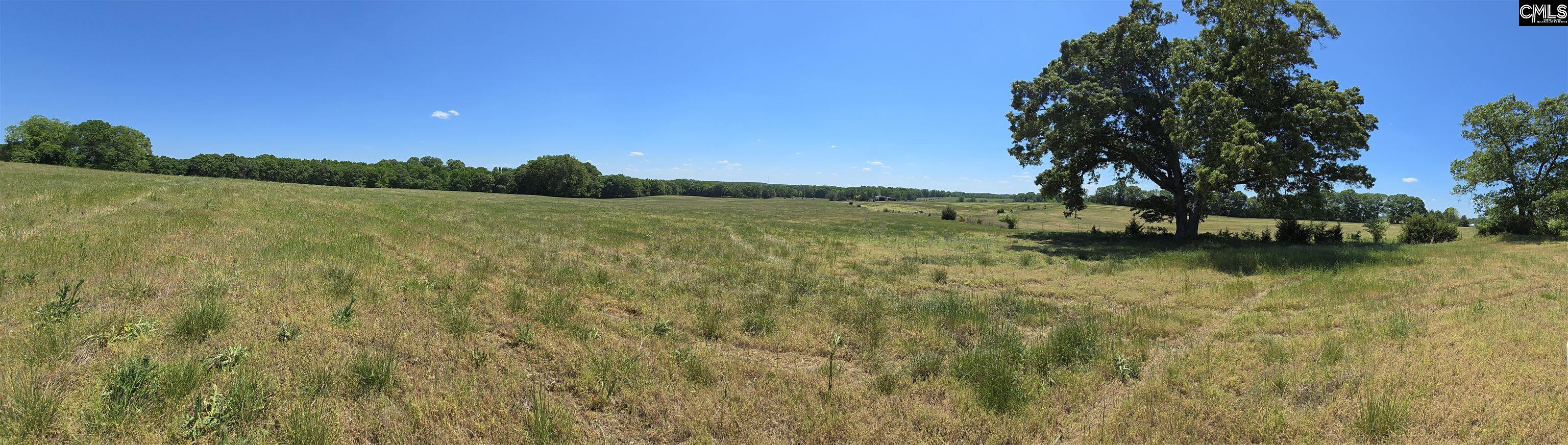 542 Pea Ridge Highway Jonesville, SC 29353