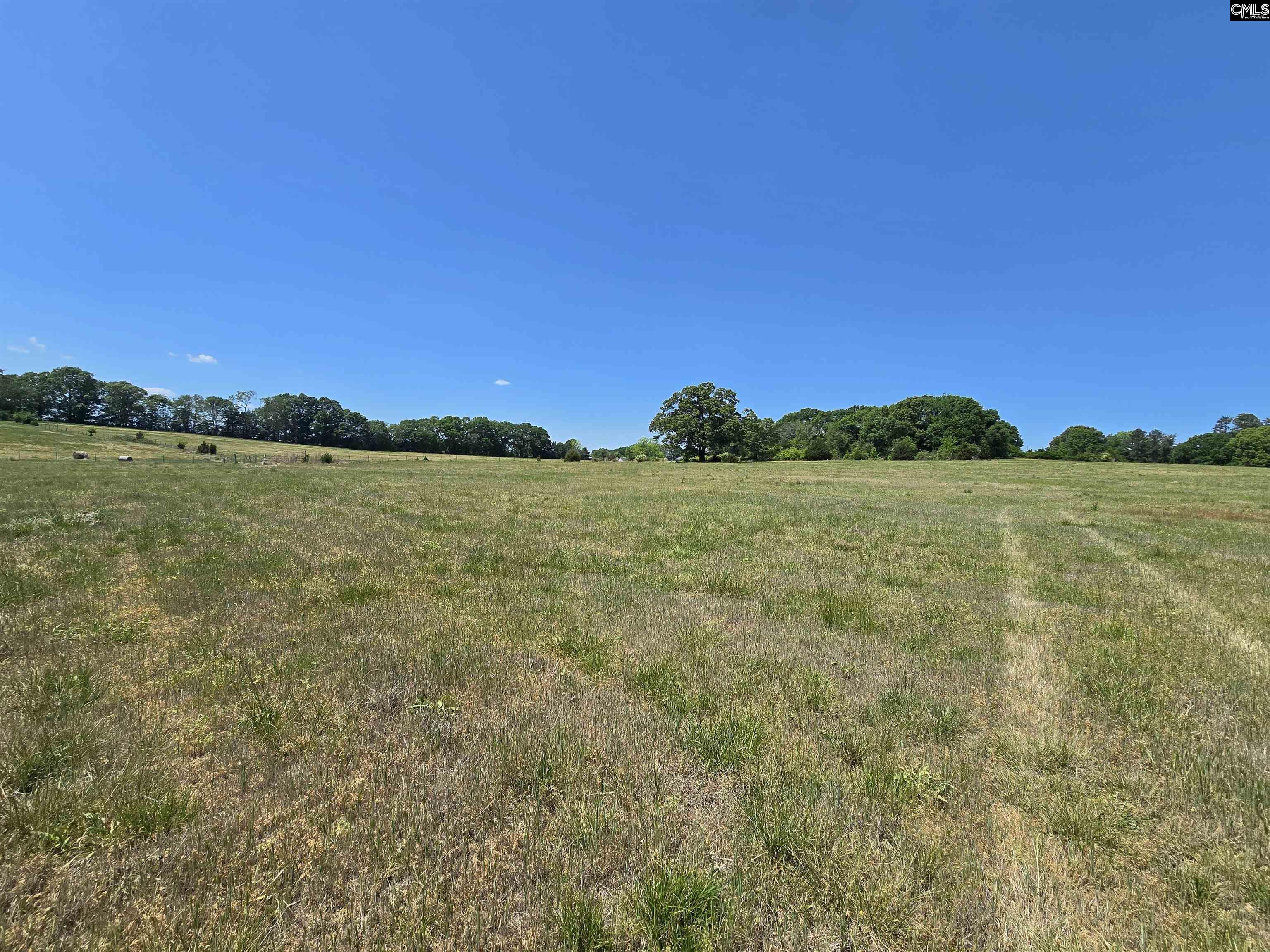 542 Pea Ridge Highway Jonesville, SC 29353