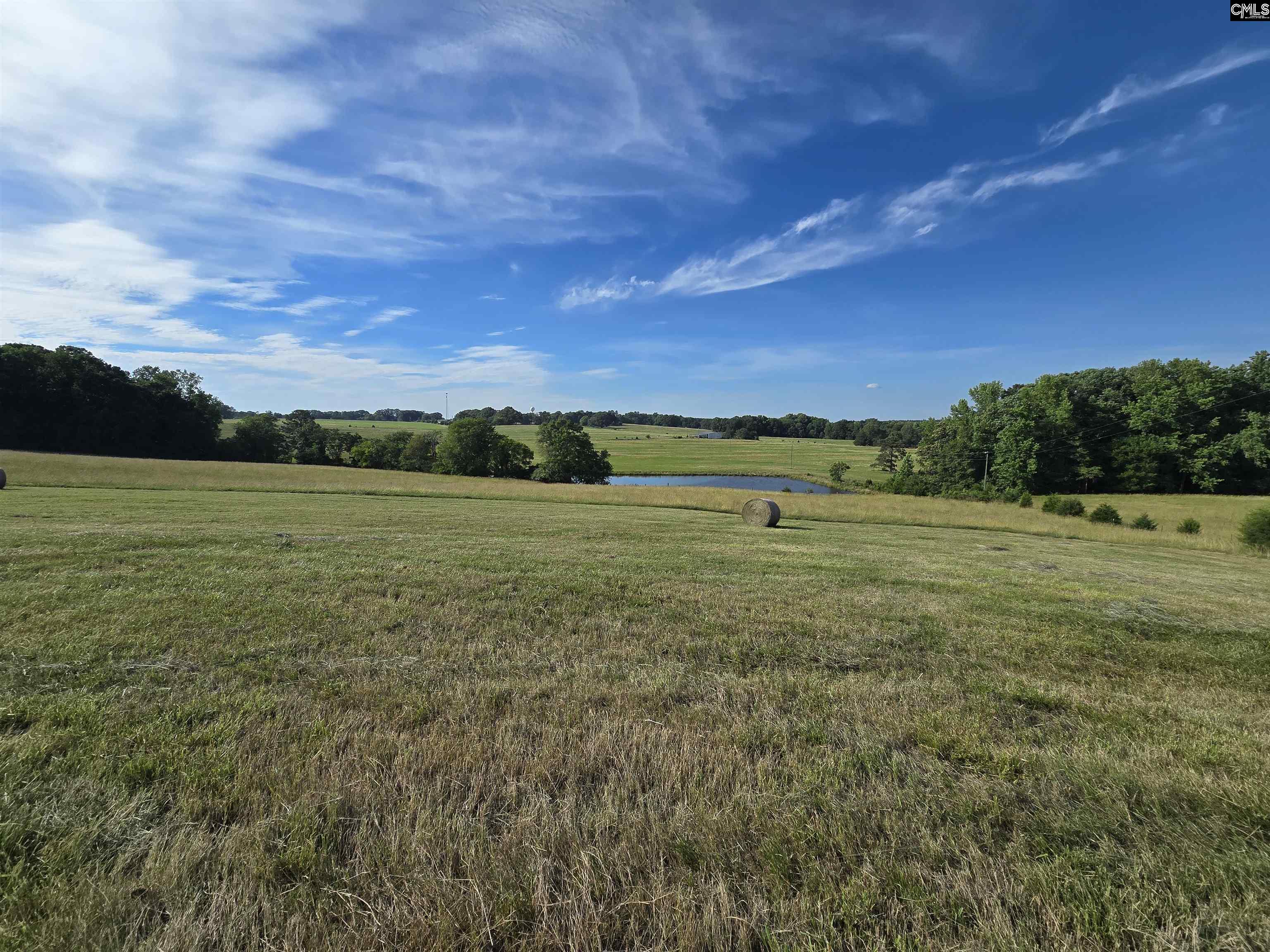 542 Pea Ridge Highway Jonesville, SC 29353