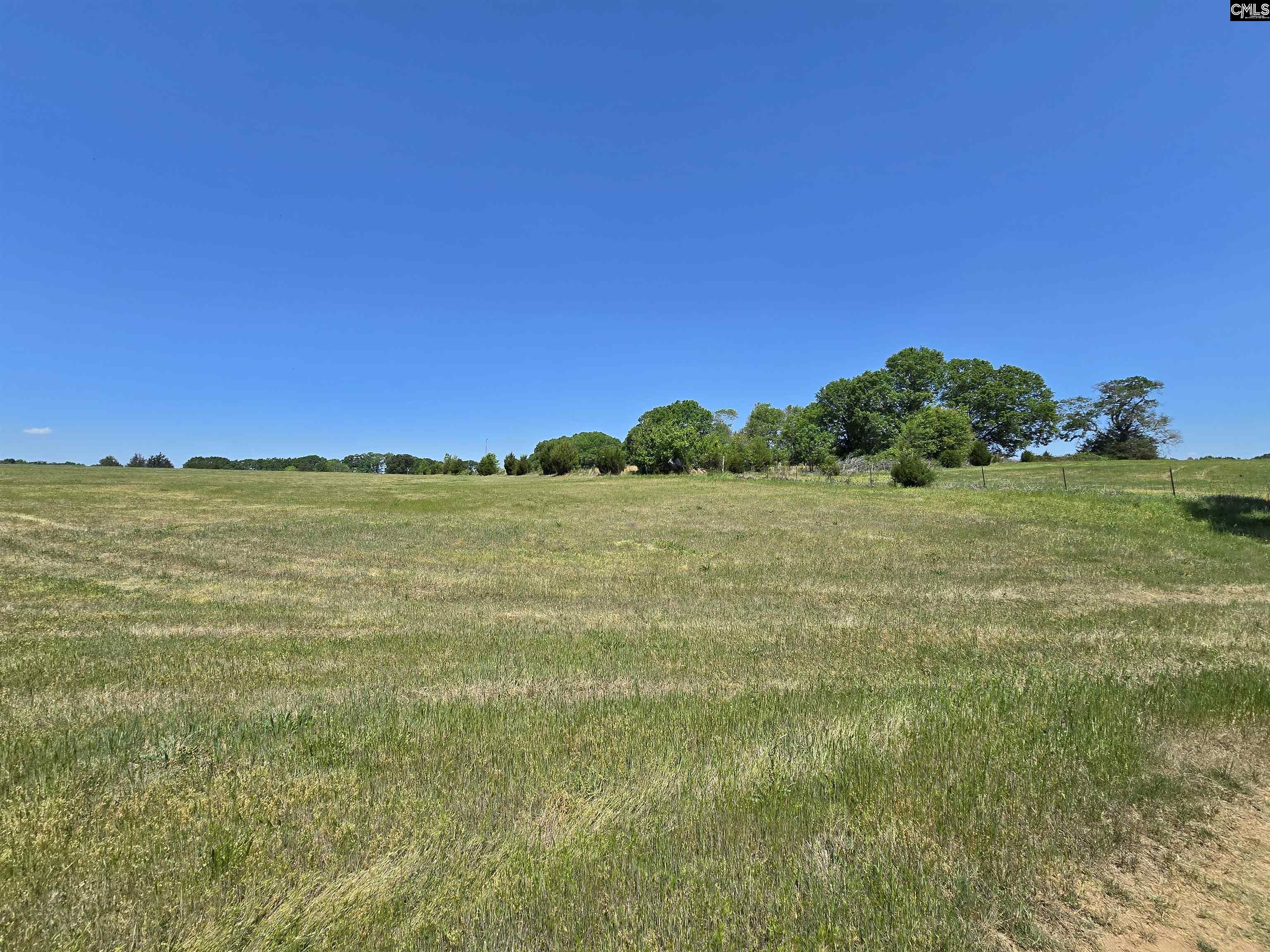 542 Pea Ridge Highway Jonesville, SC 29353