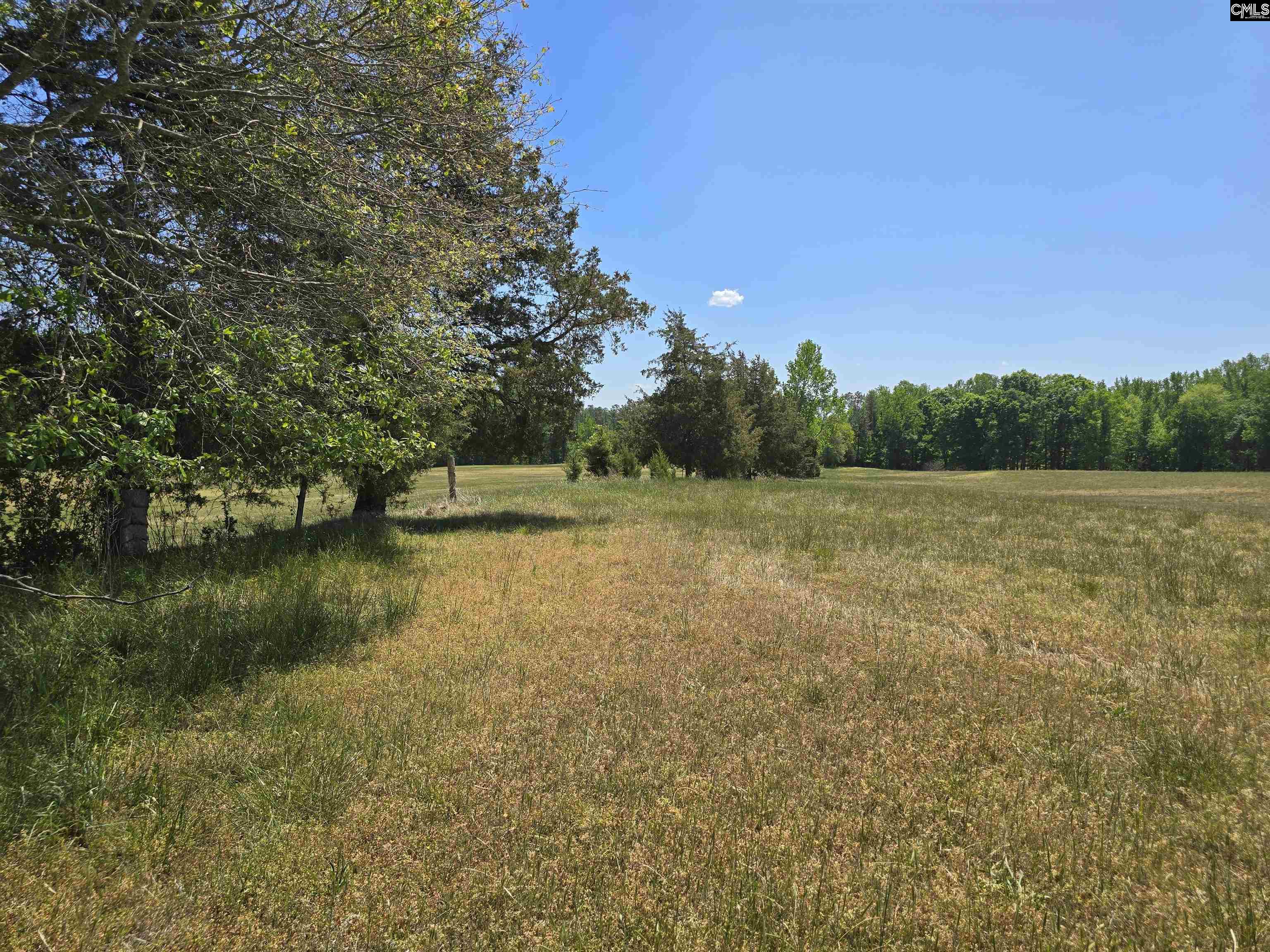 542 Pea Ridge Highway Jonesville, SC 29353