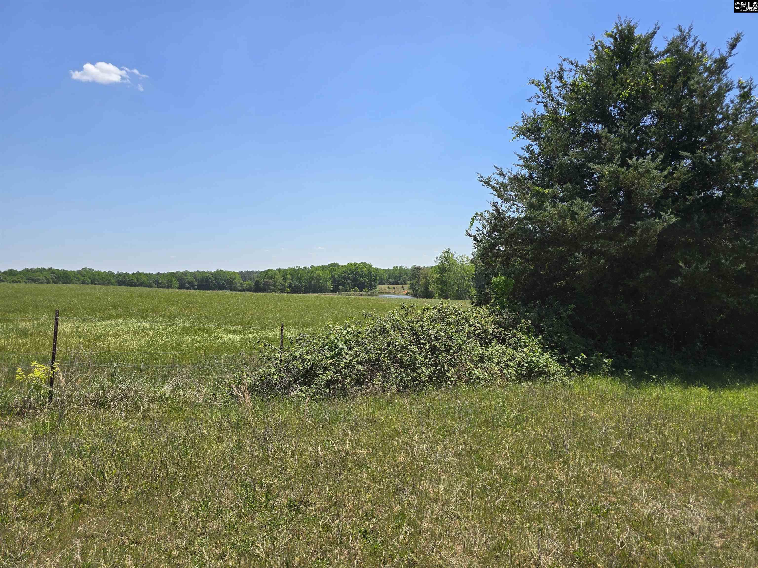 542 Pea Ridge Highway Jonesville, SC 29353