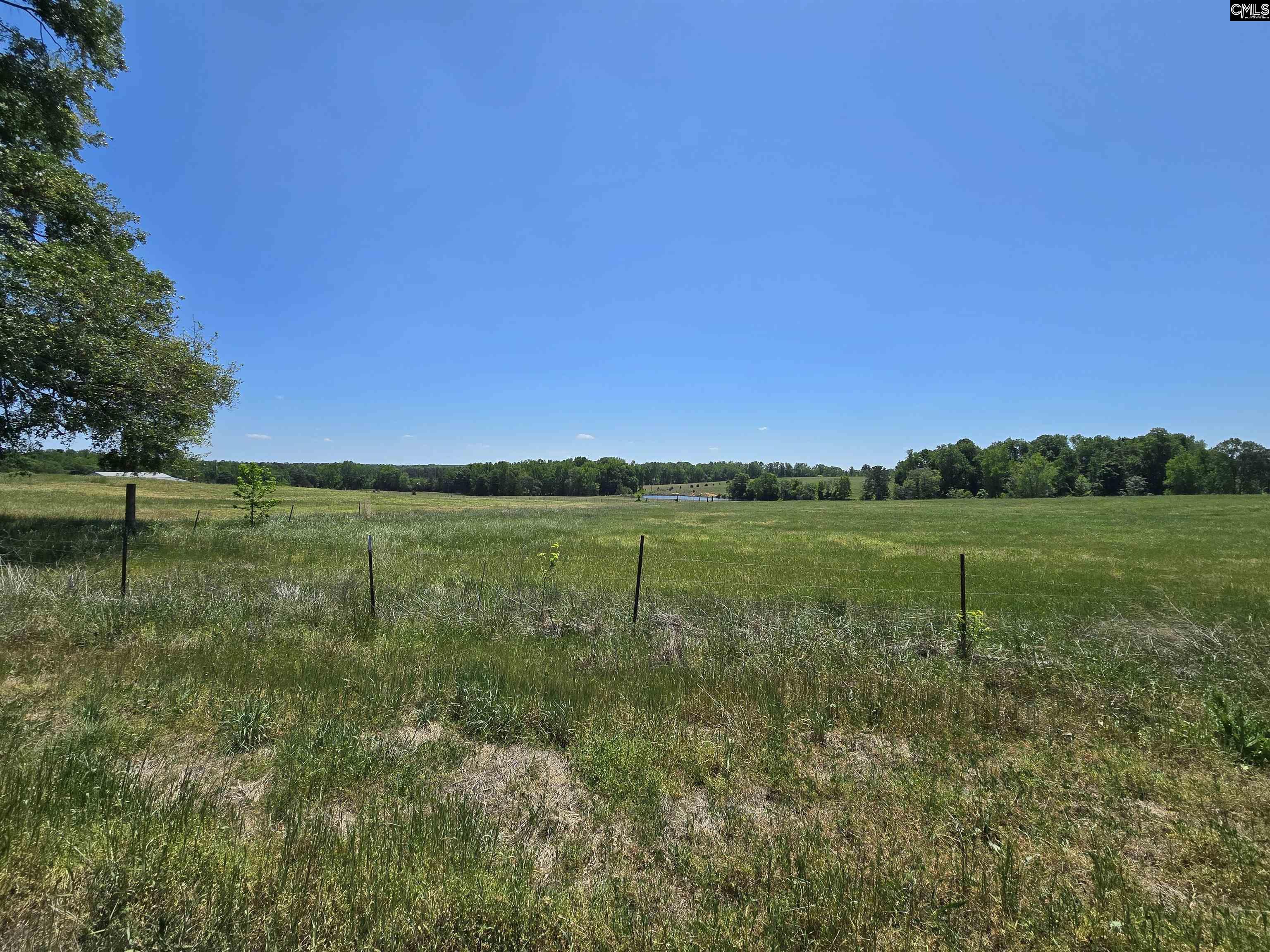 542 Pea Ridge Highway Jonesville, SC 29353