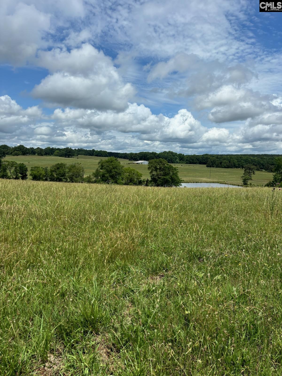 542 Pea Ridge Highway Jonesville, SC 29353