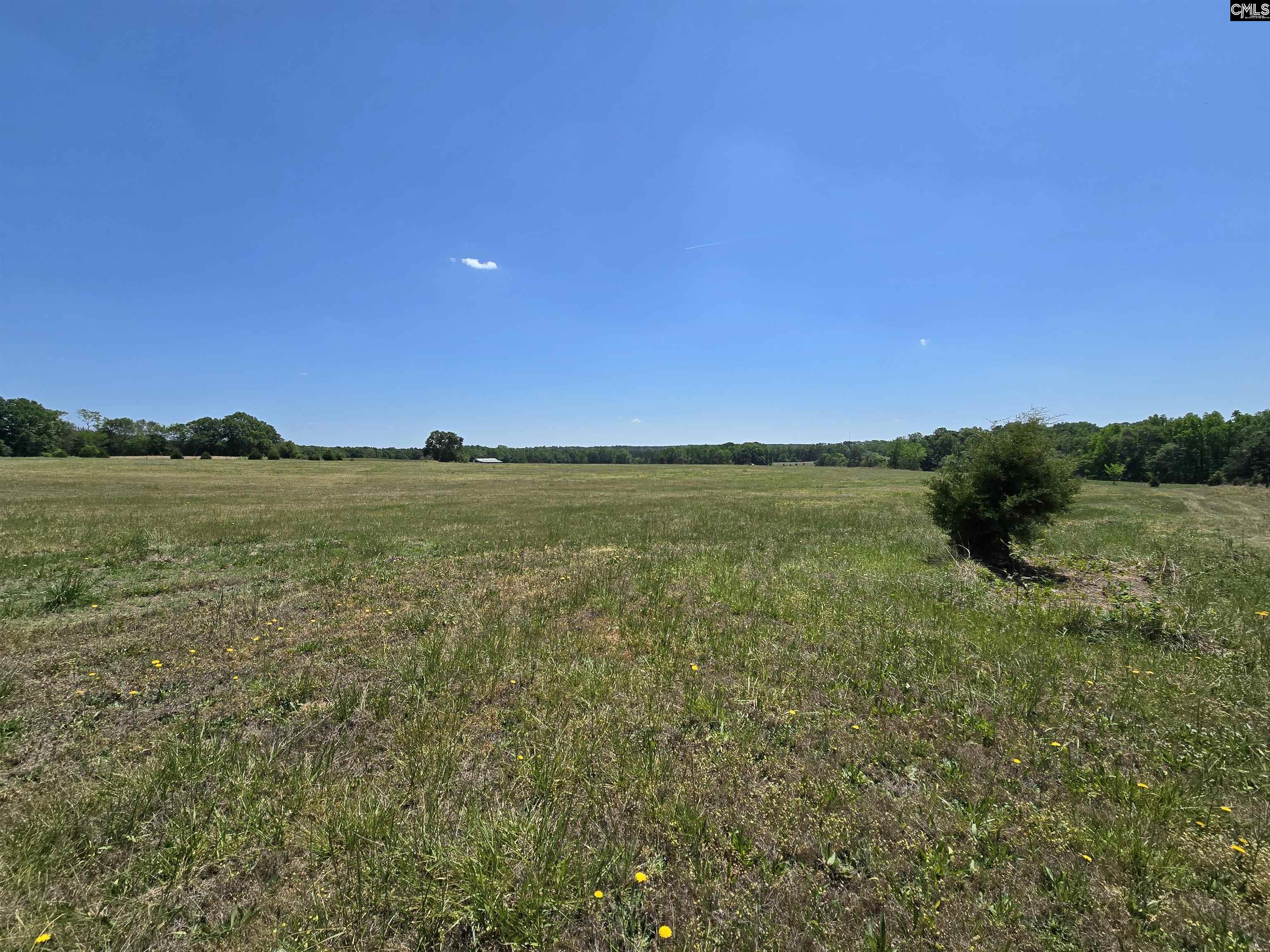 542 Pea Ridge Highway Jonesville, SC 29353