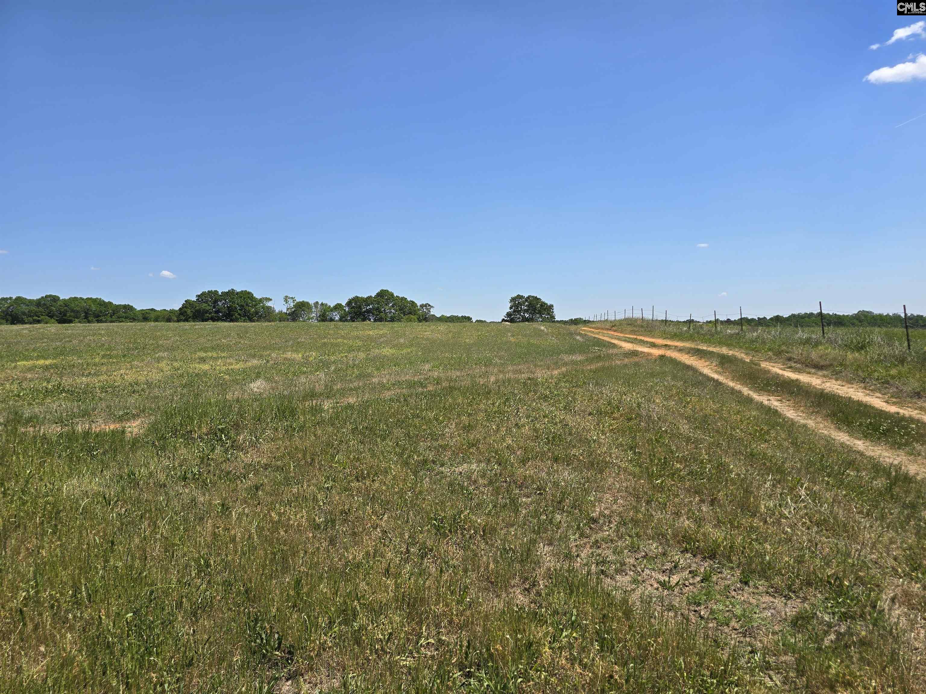 542 Pea Ridge Highway Jonesville, SC 29353