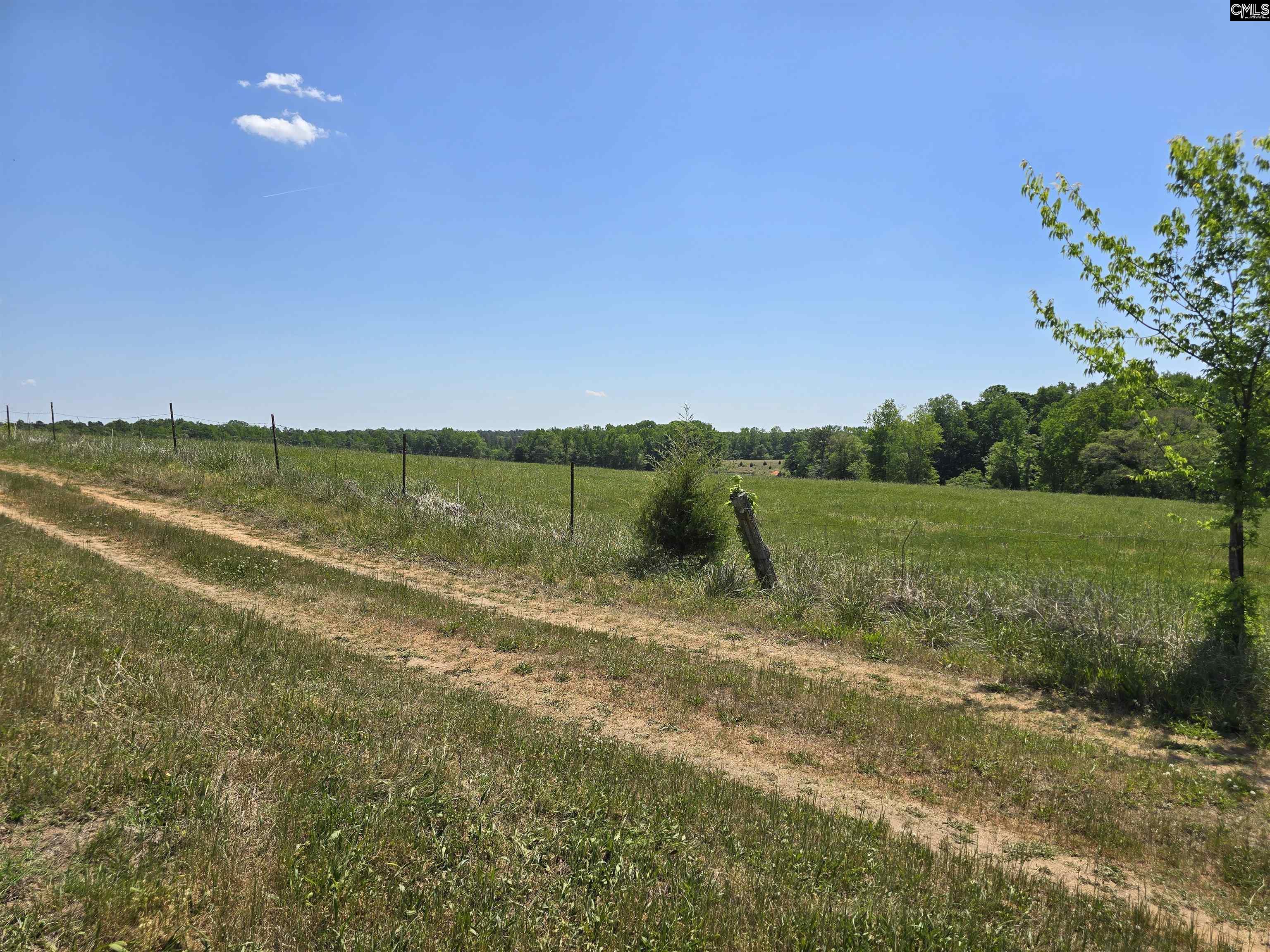 542 Pea Ridge Highway Jonesville, SC 29353