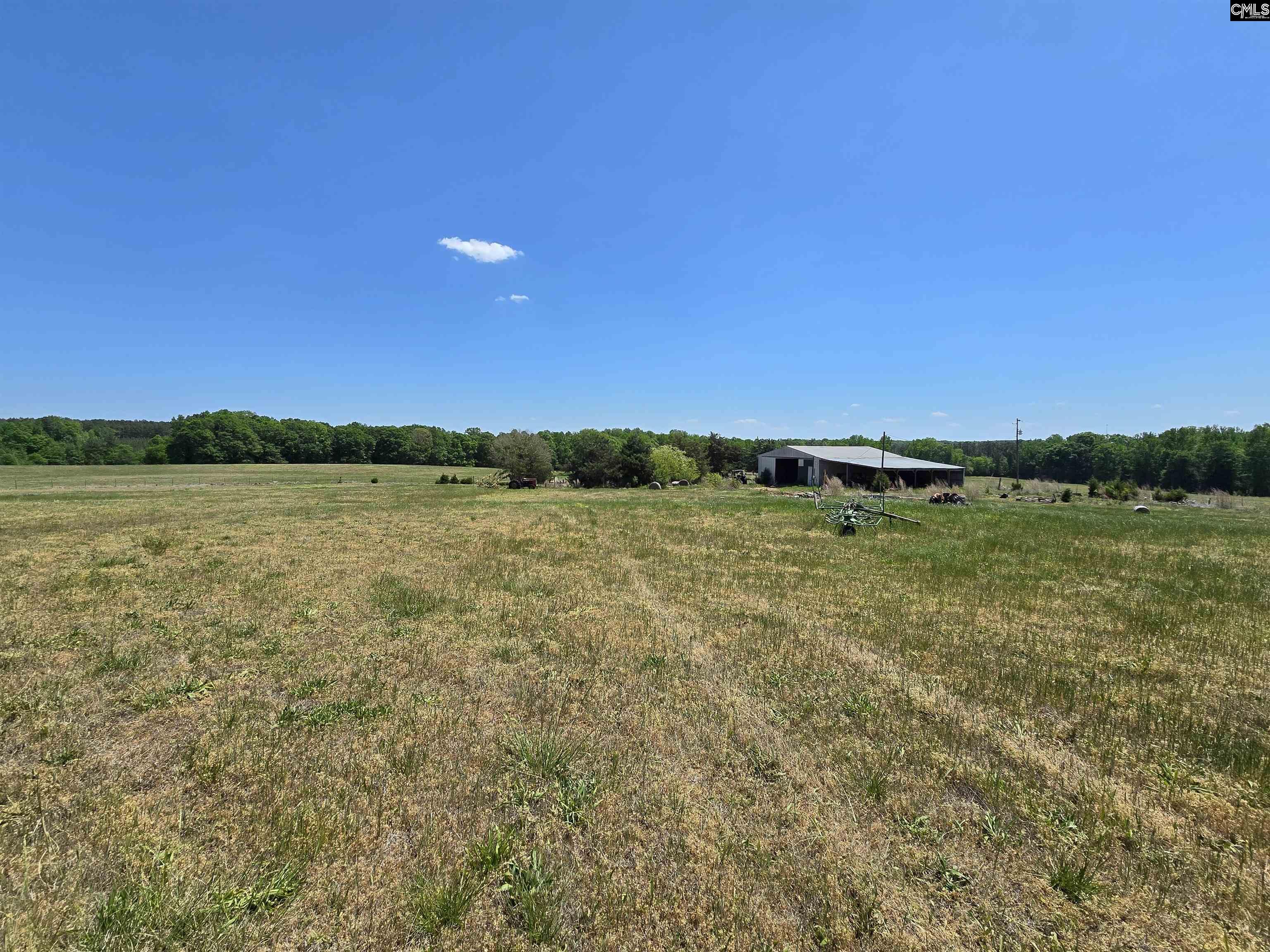 542 Pea Ridge Highway Jonesville, SC 29353