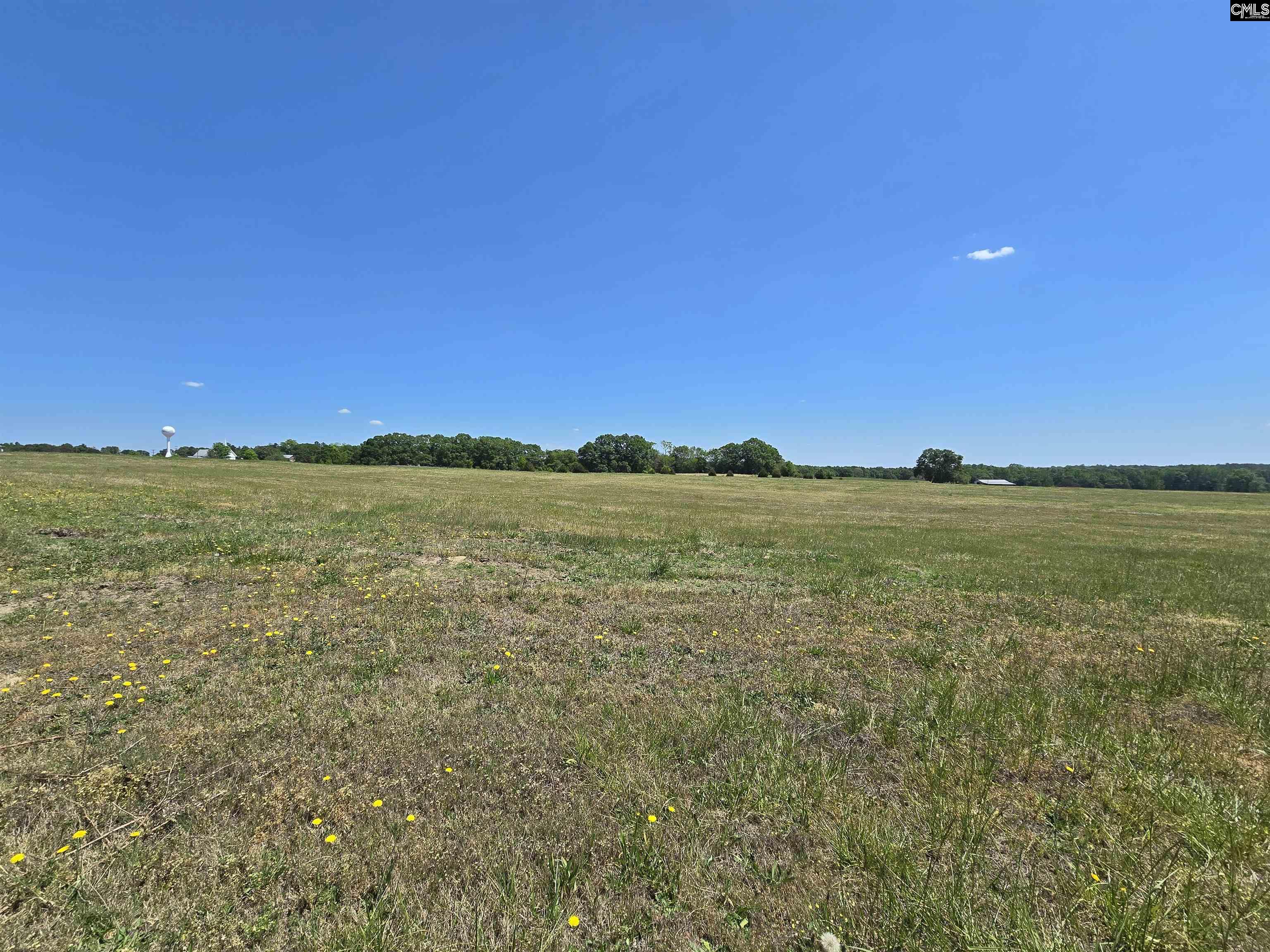 542 Pea Ridge Highway Jonesville, SC 29353
