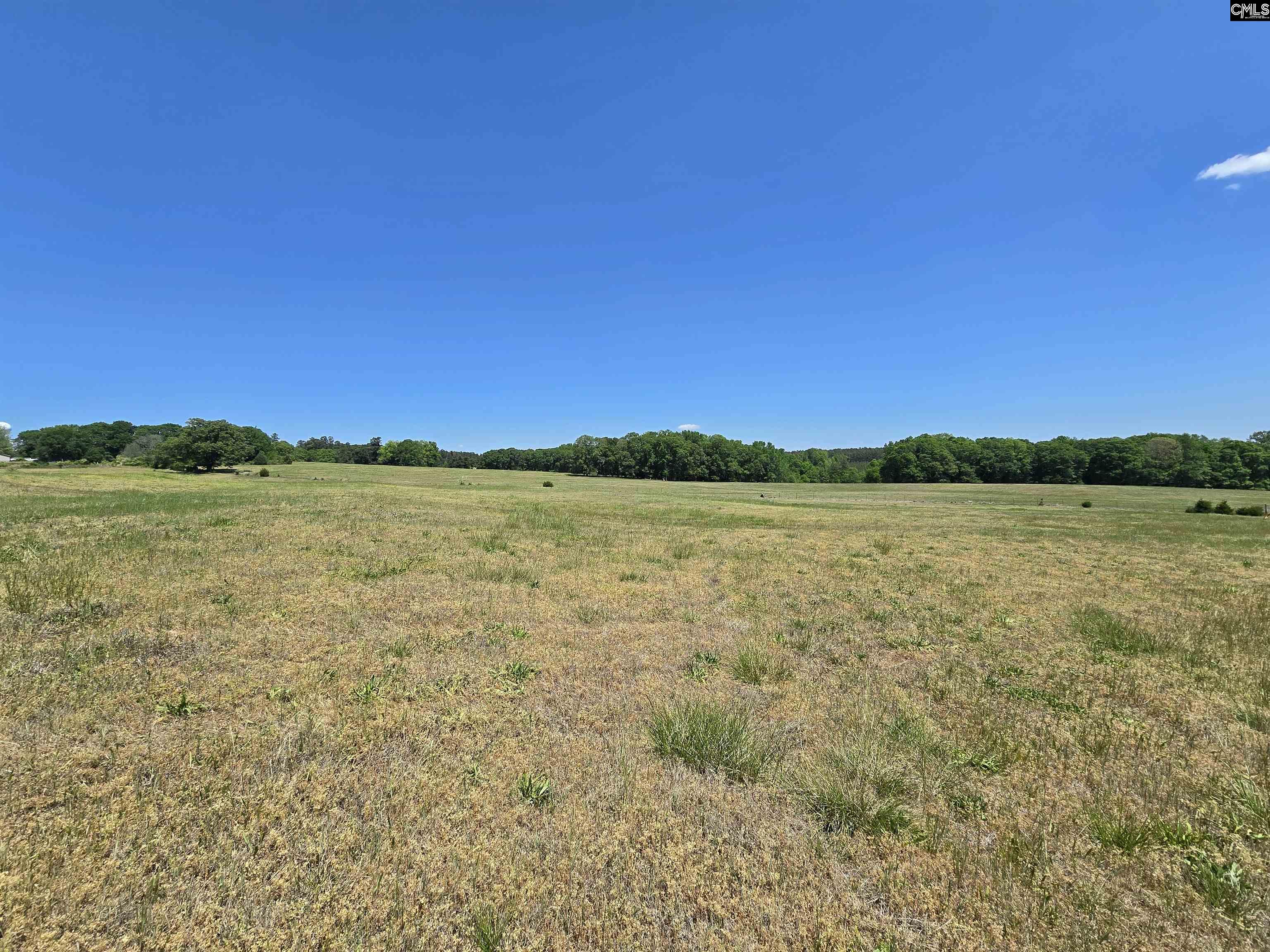 542 Pea Ridge Highway Jonesville, SC 29353