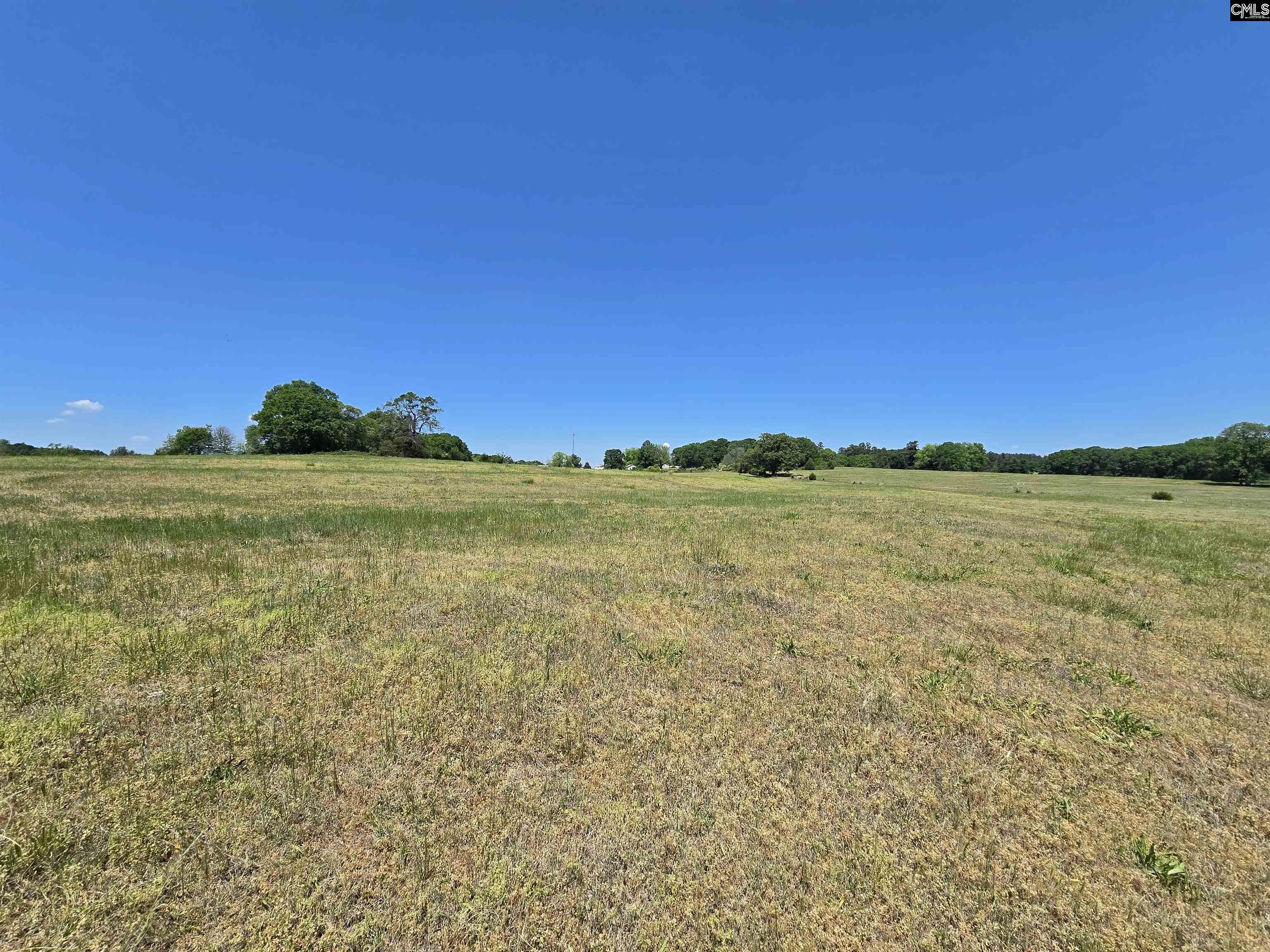 542 Pea Ridge Highway Jonesville, SC 29353