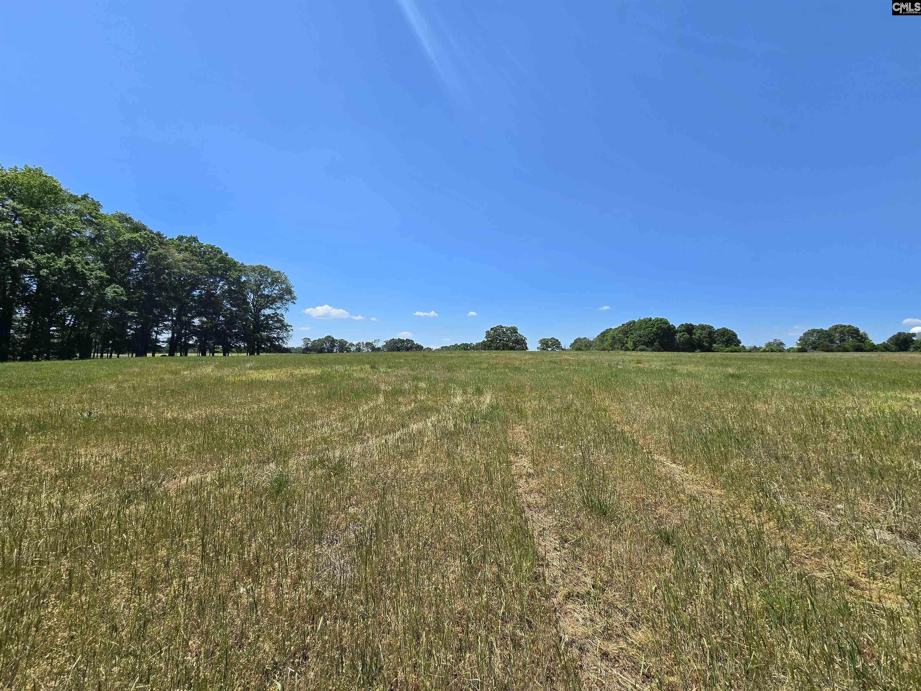 542 Pea Ridge Highway Jonesville, SC 29353