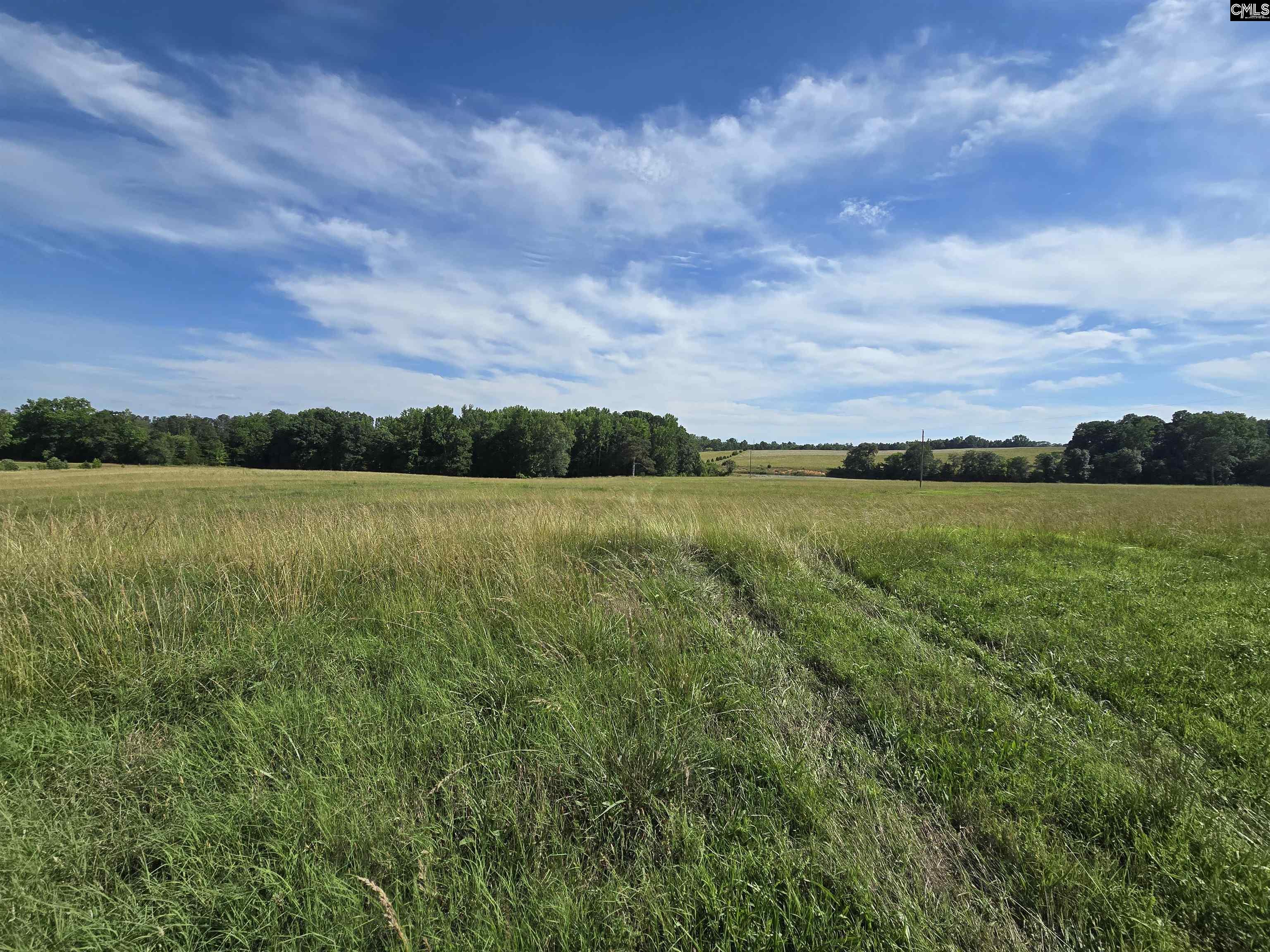 542 Pea Ridge Highway Jonesville, SC 29353