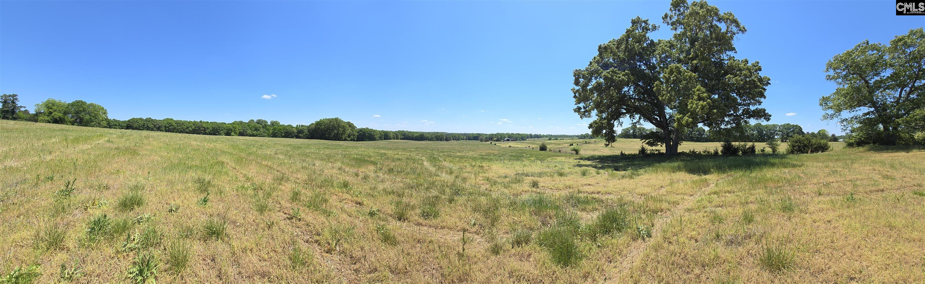 542 Pea Ridge Highway Jonesville, SC 29353